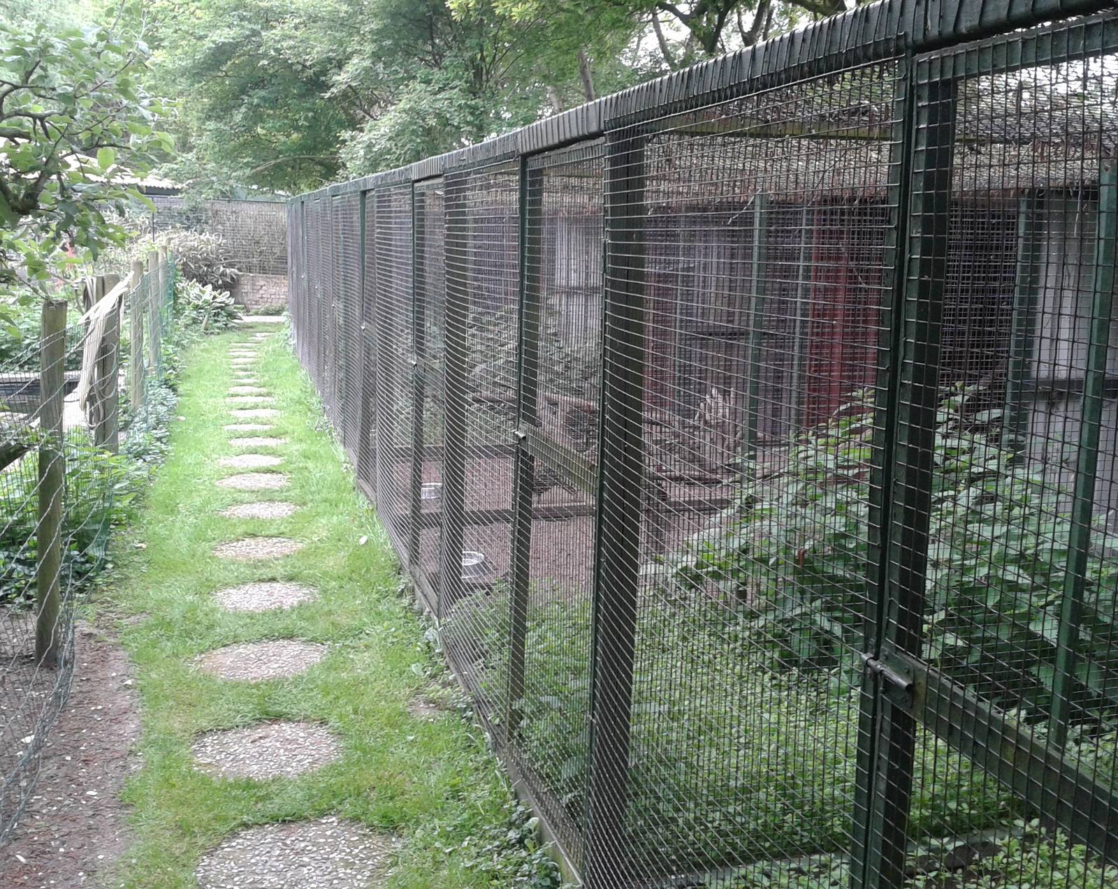 Aviaries