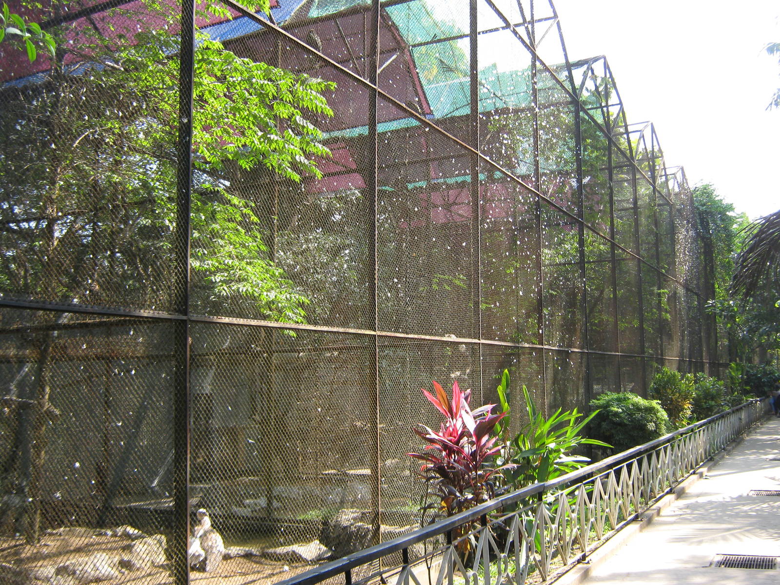 aviaries