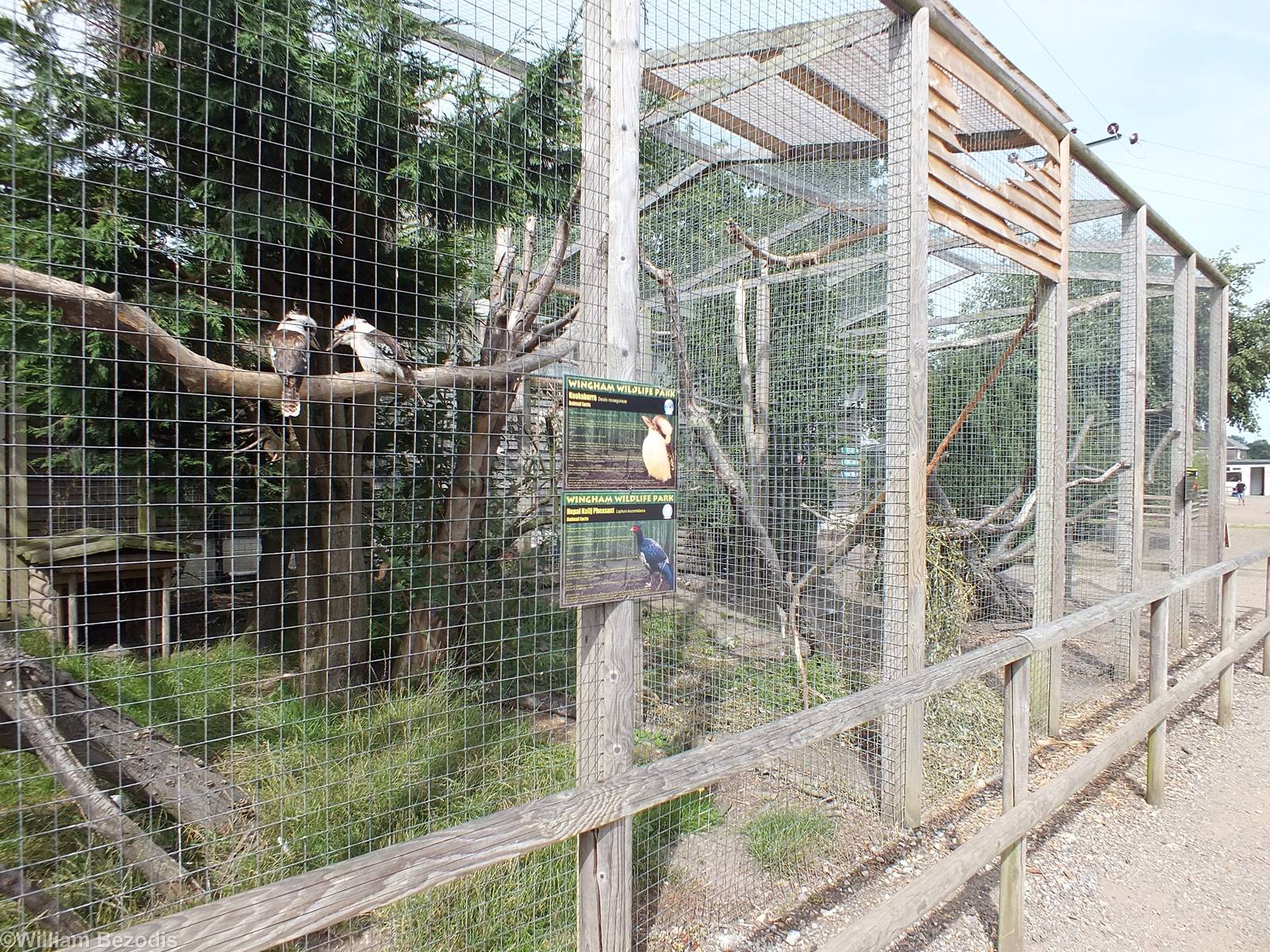 Aviaries