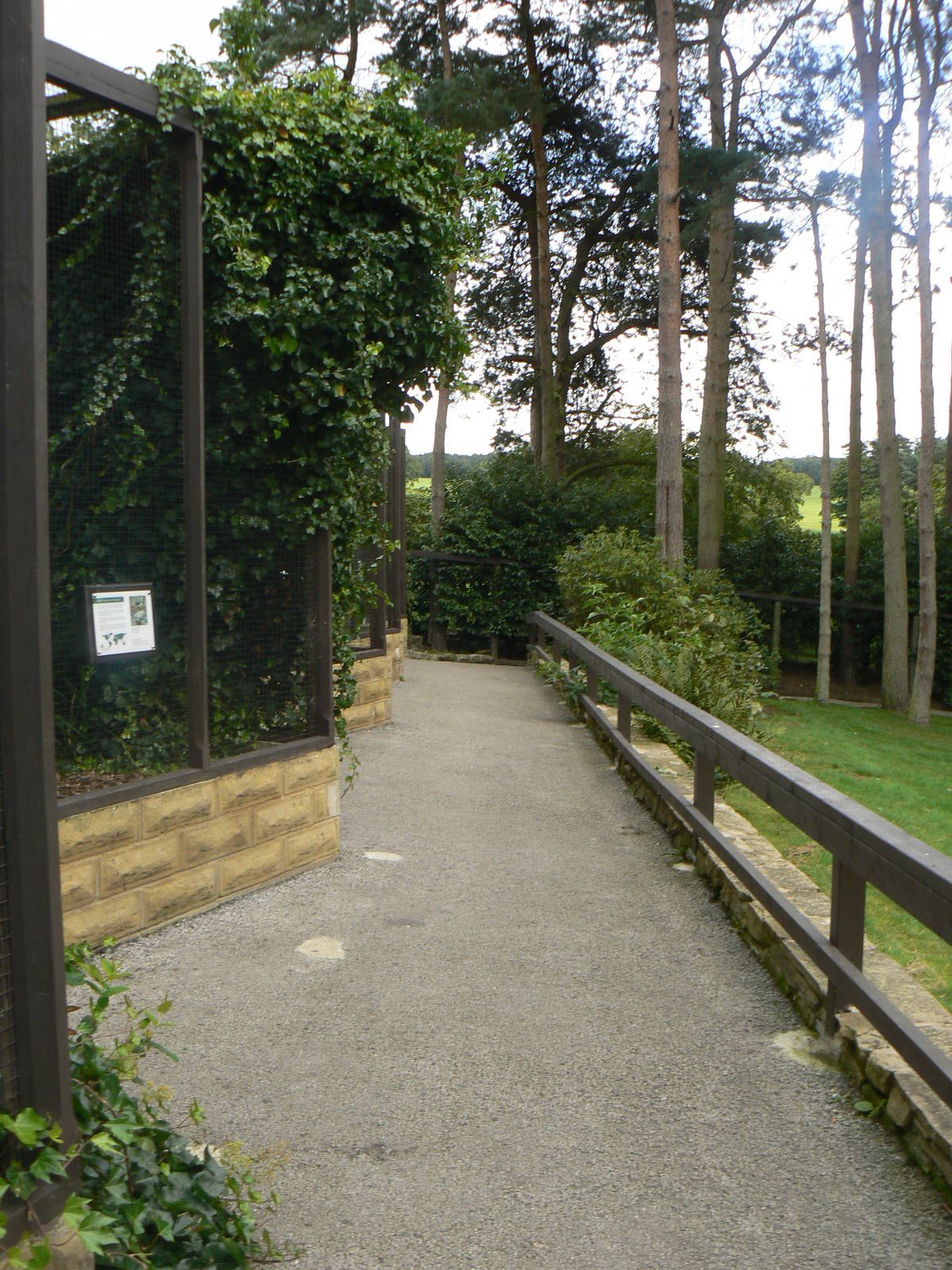 Aviaries