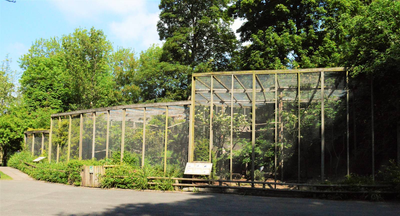 Aviaries