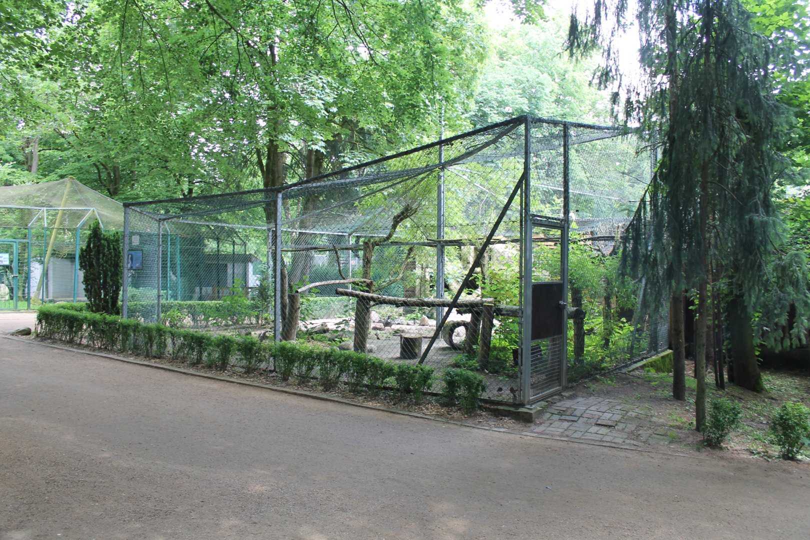 Aviaries
