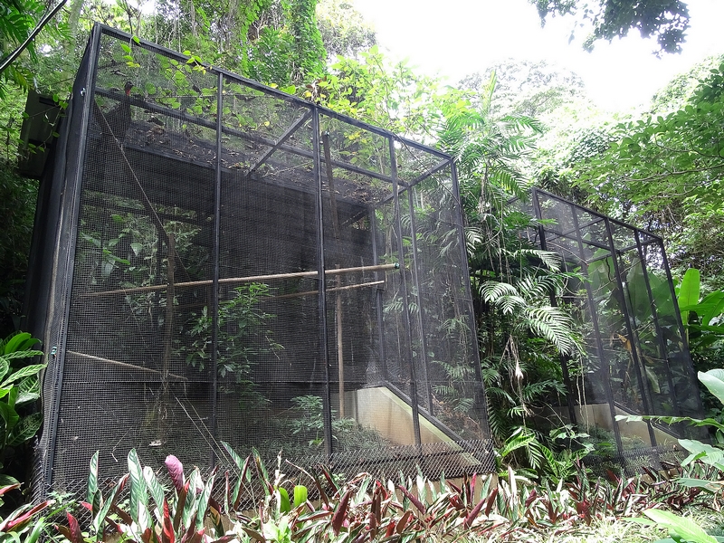 Aviaries