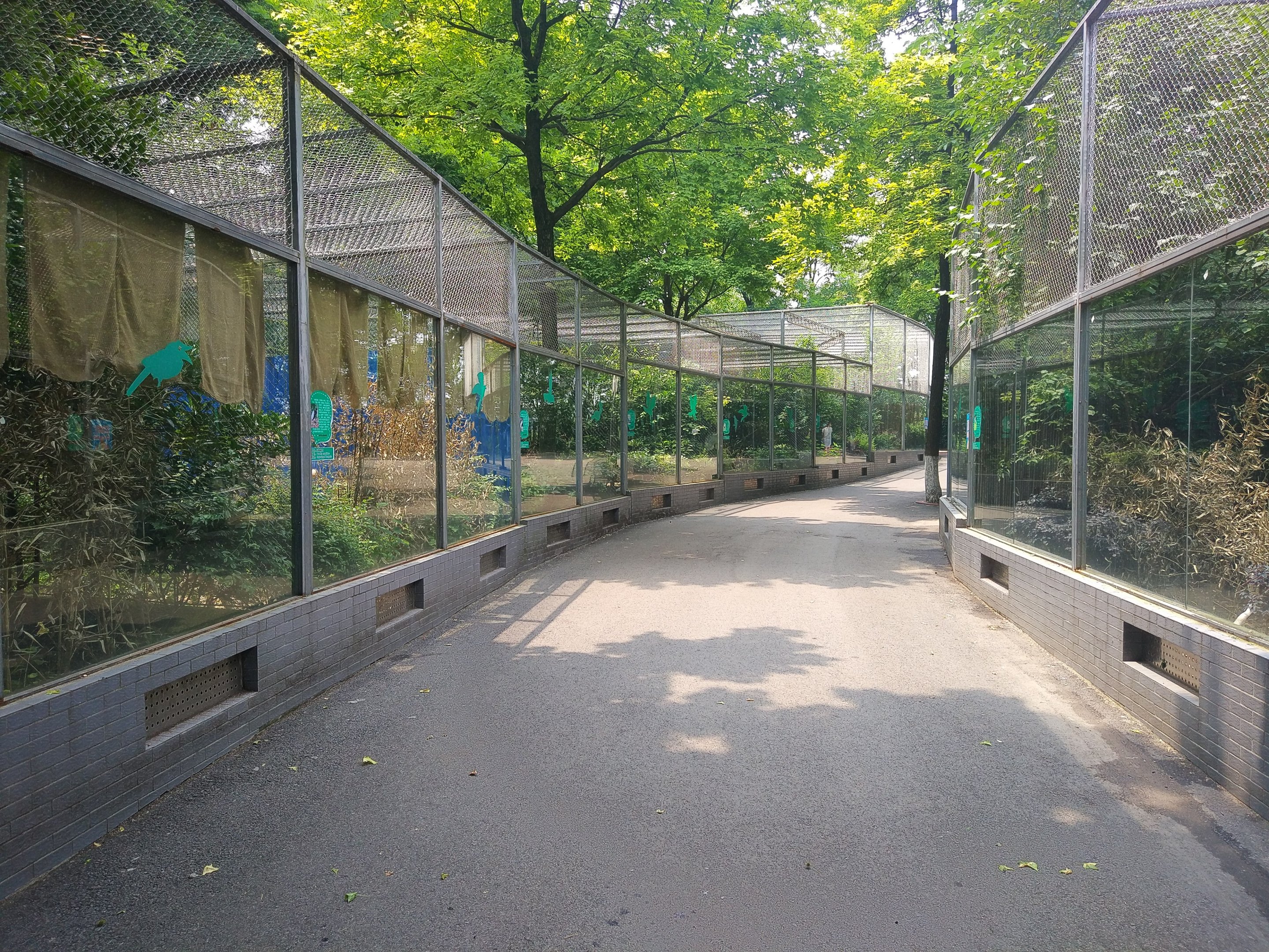 Aviaries