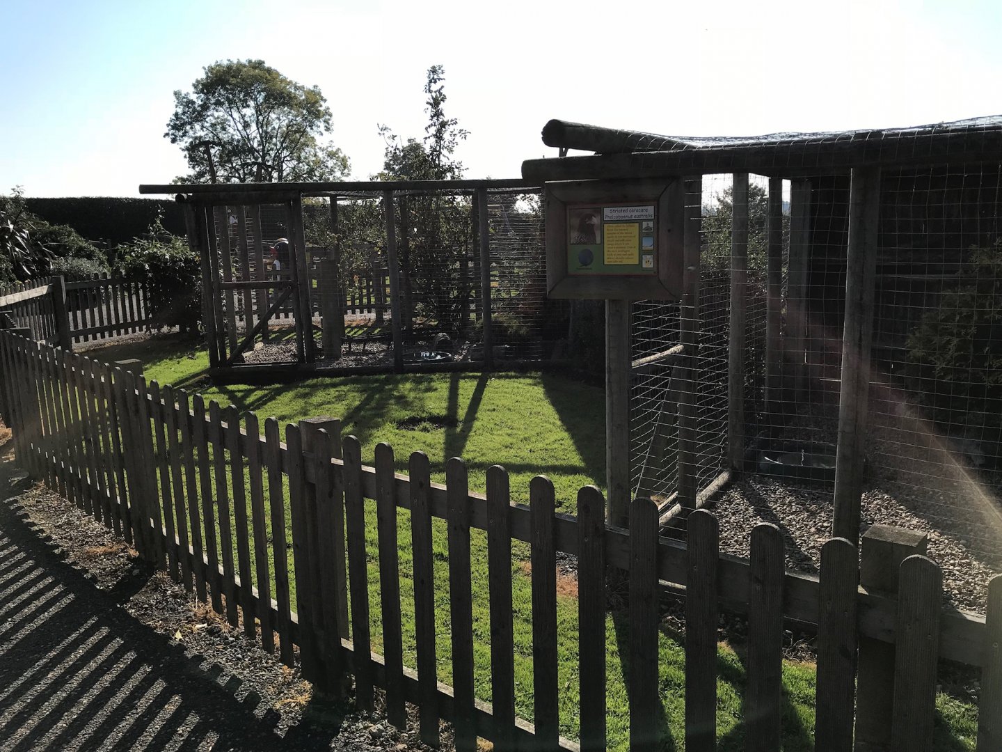 Aviaries