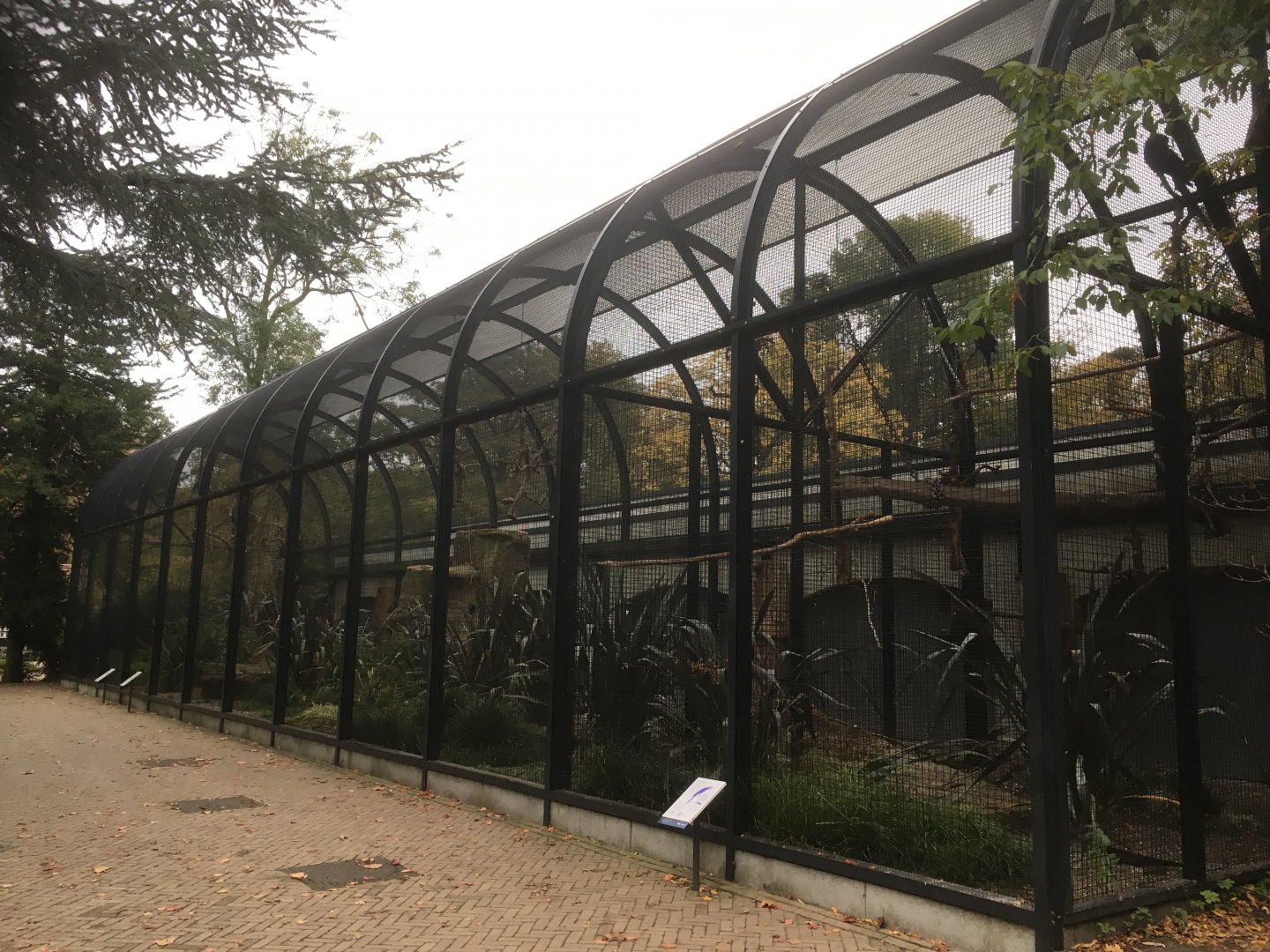 Aviaries