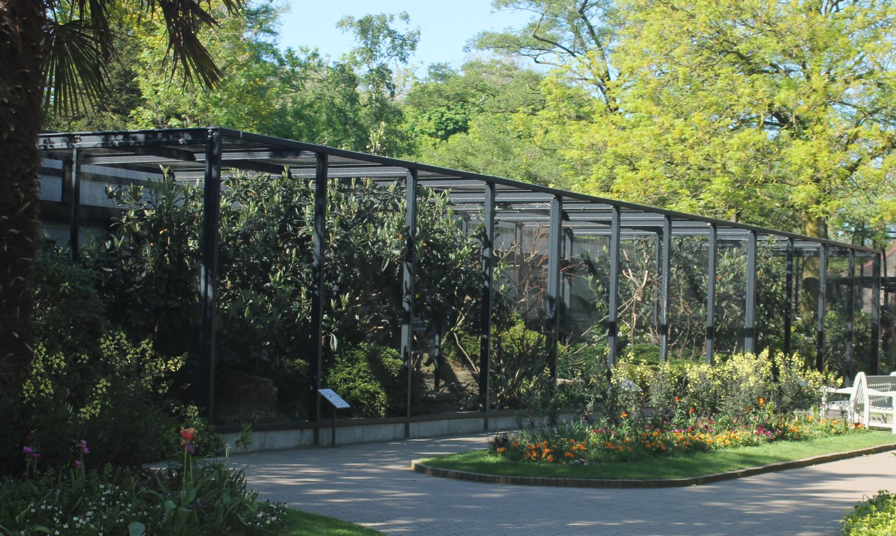 Aviaries