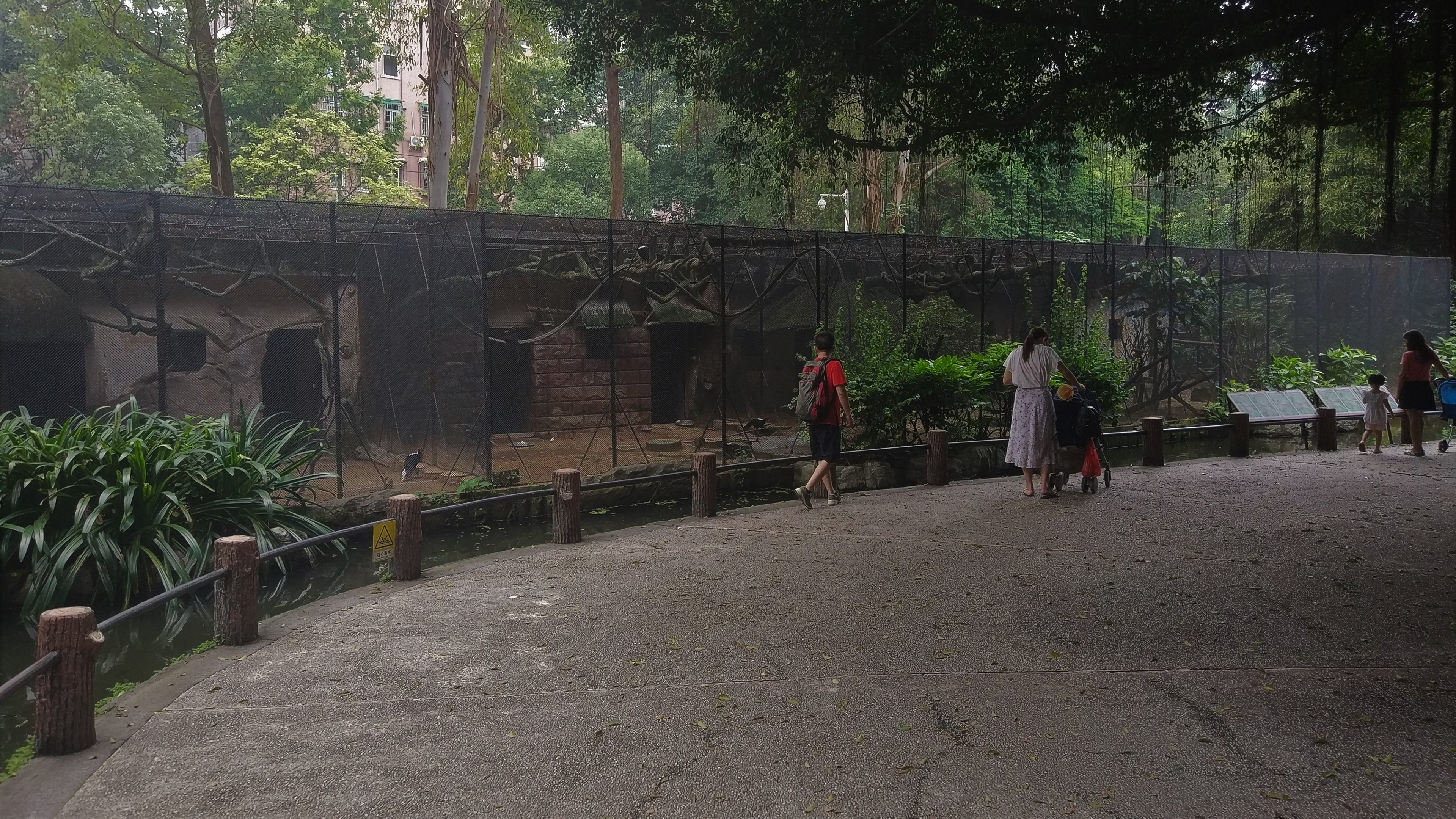 Aviaries