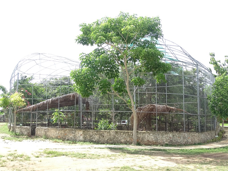 Aviaries
