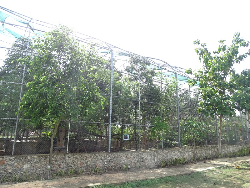 Aviaries