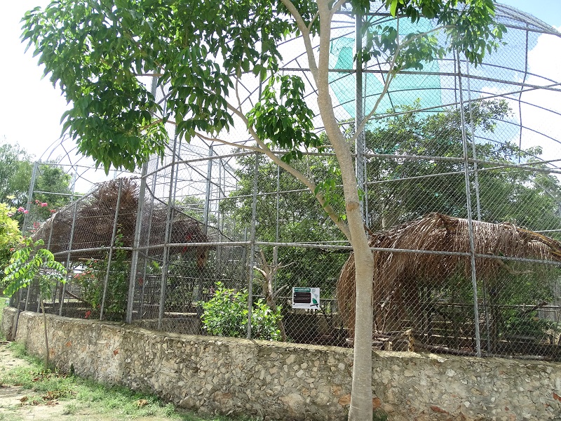 Aviaries