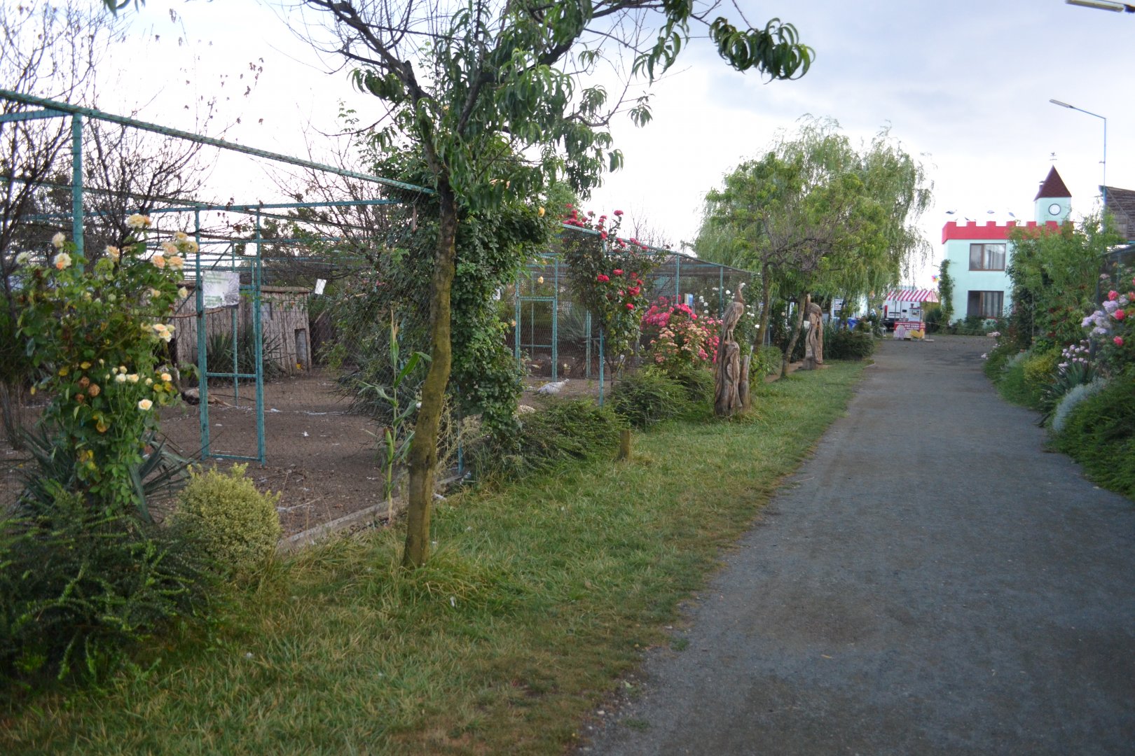 Aviaries