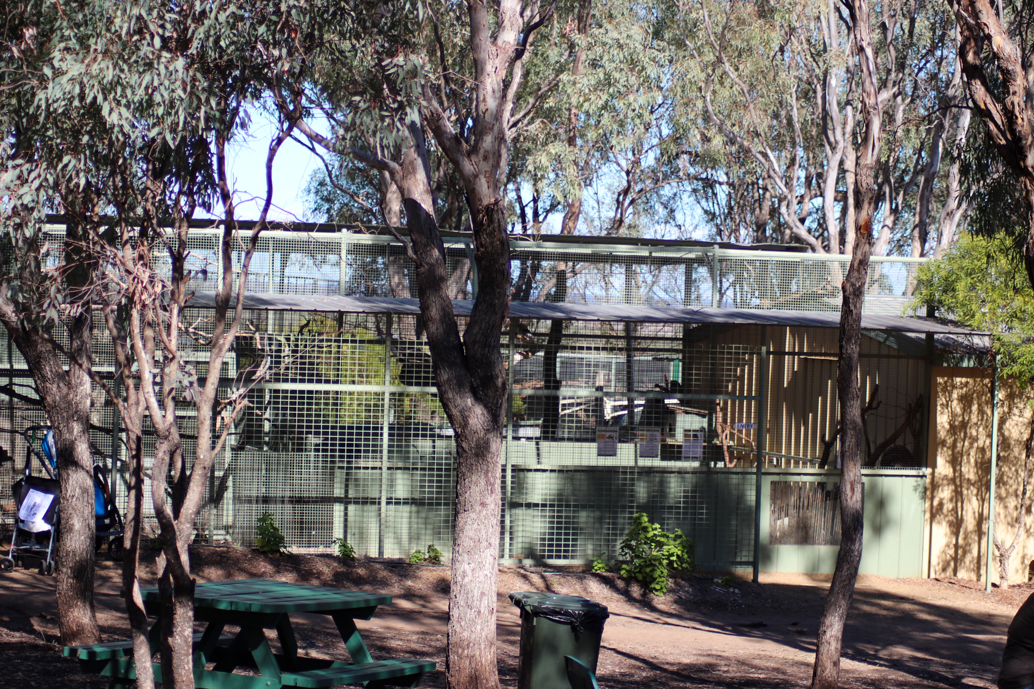 Aviaries