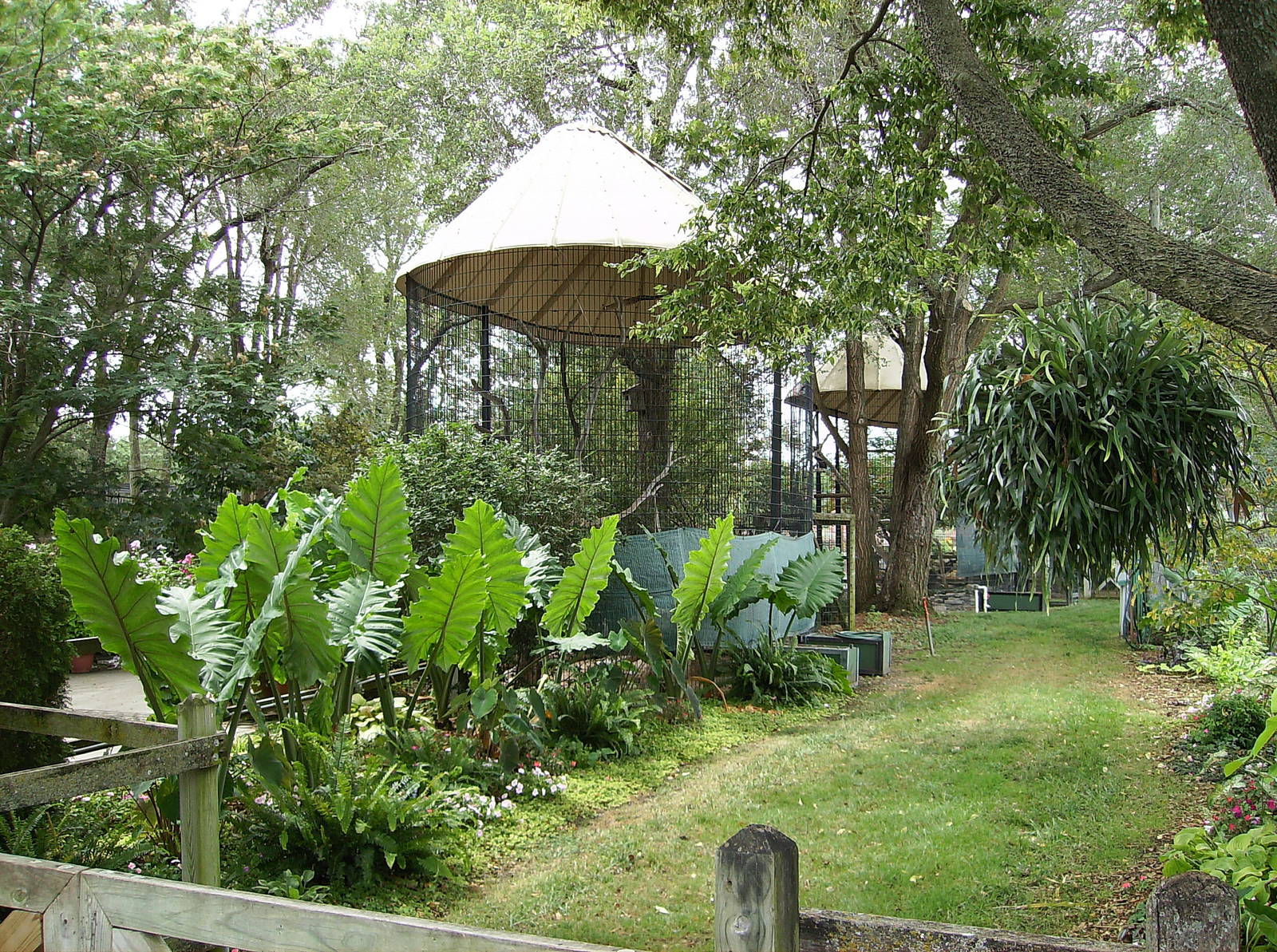 Aviaries