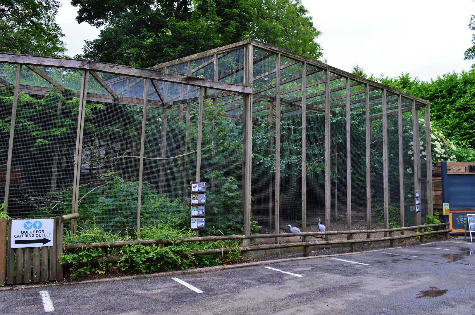 Aviaries
