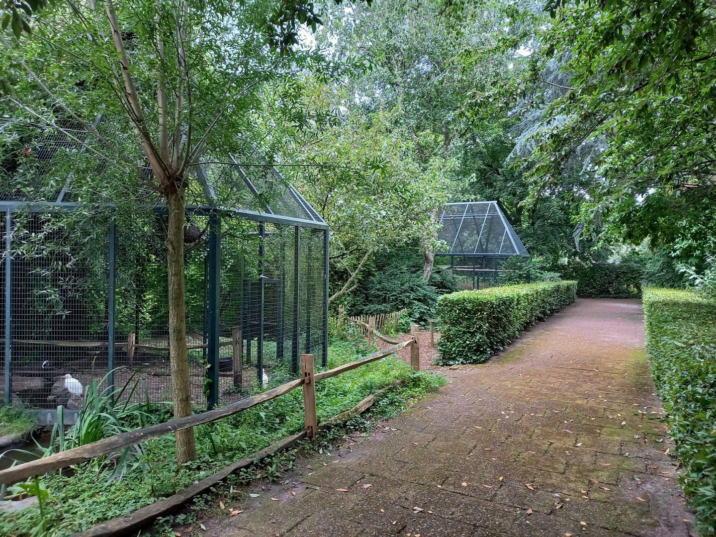 Aviaries