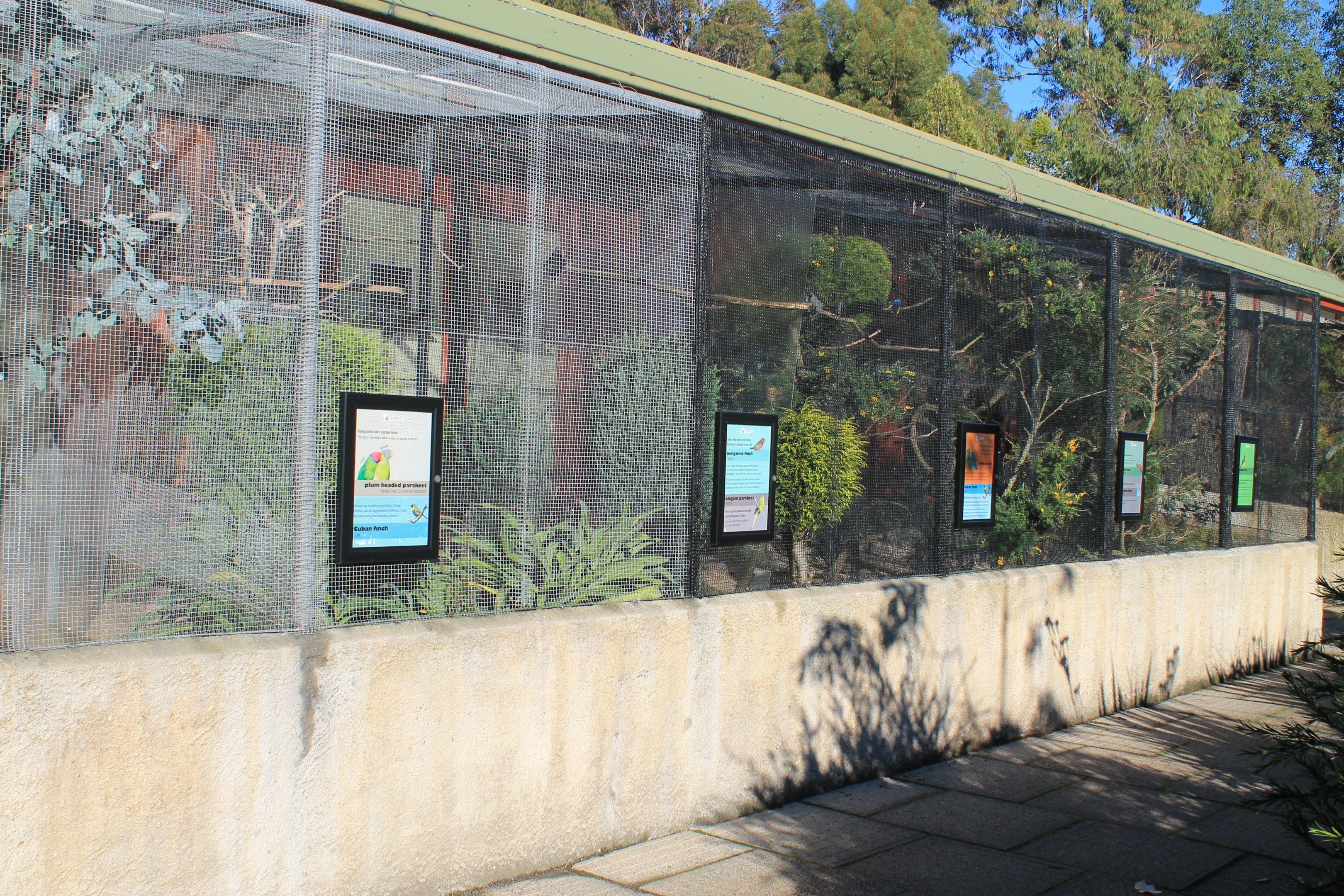 Aviaries