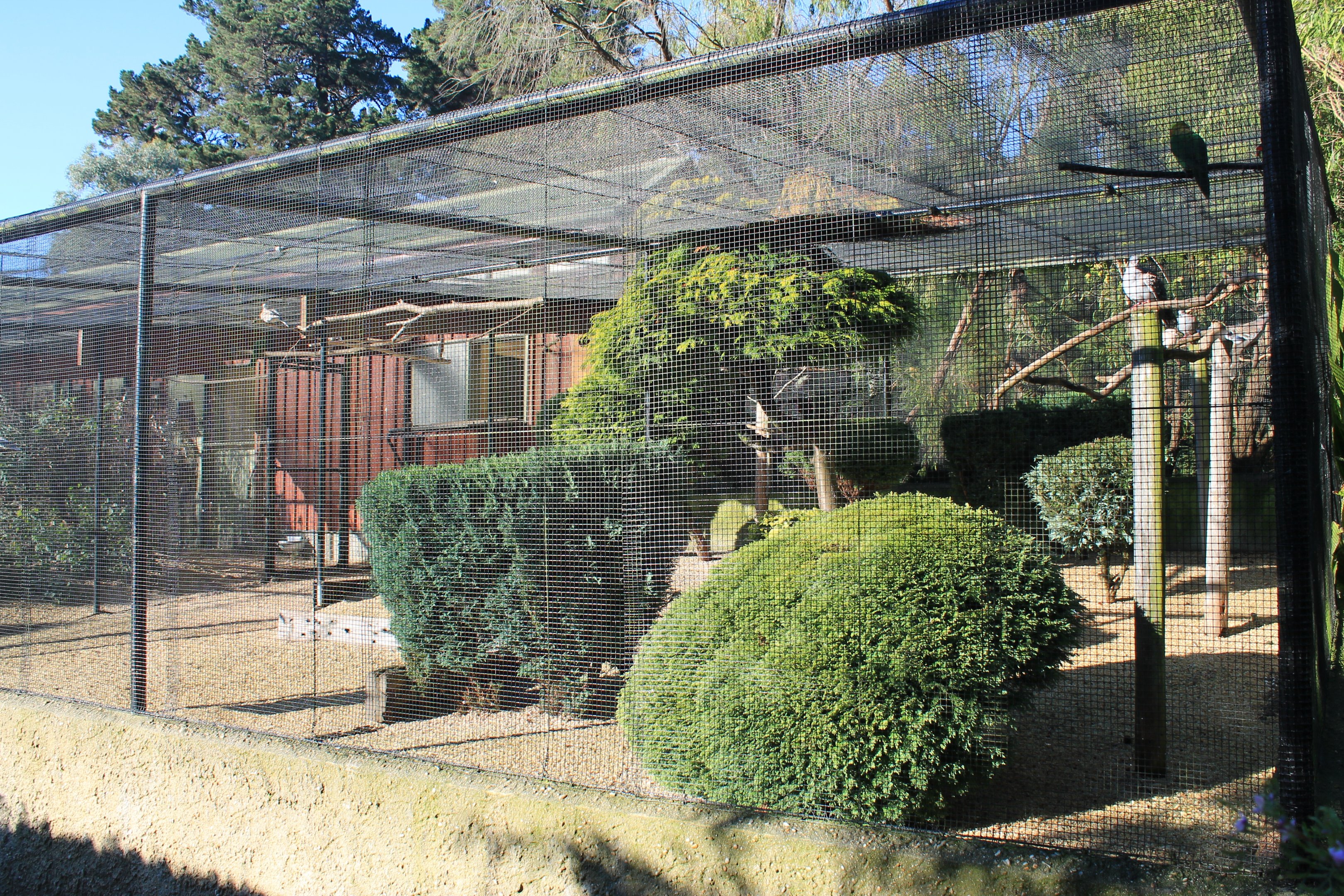 Aviaries