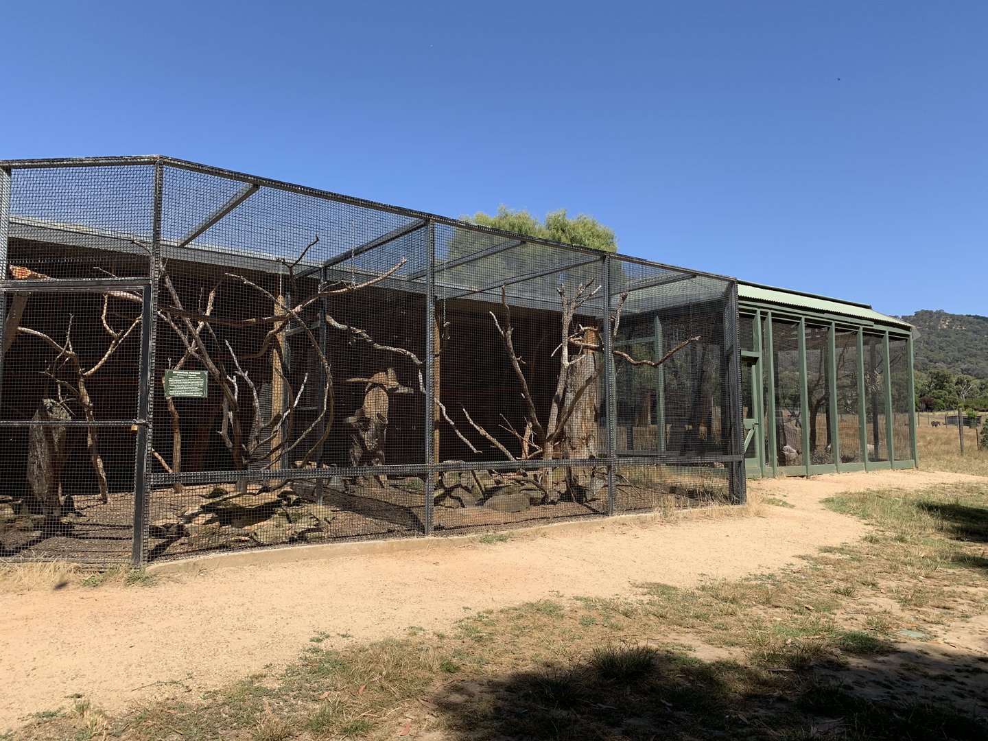 Aviaries