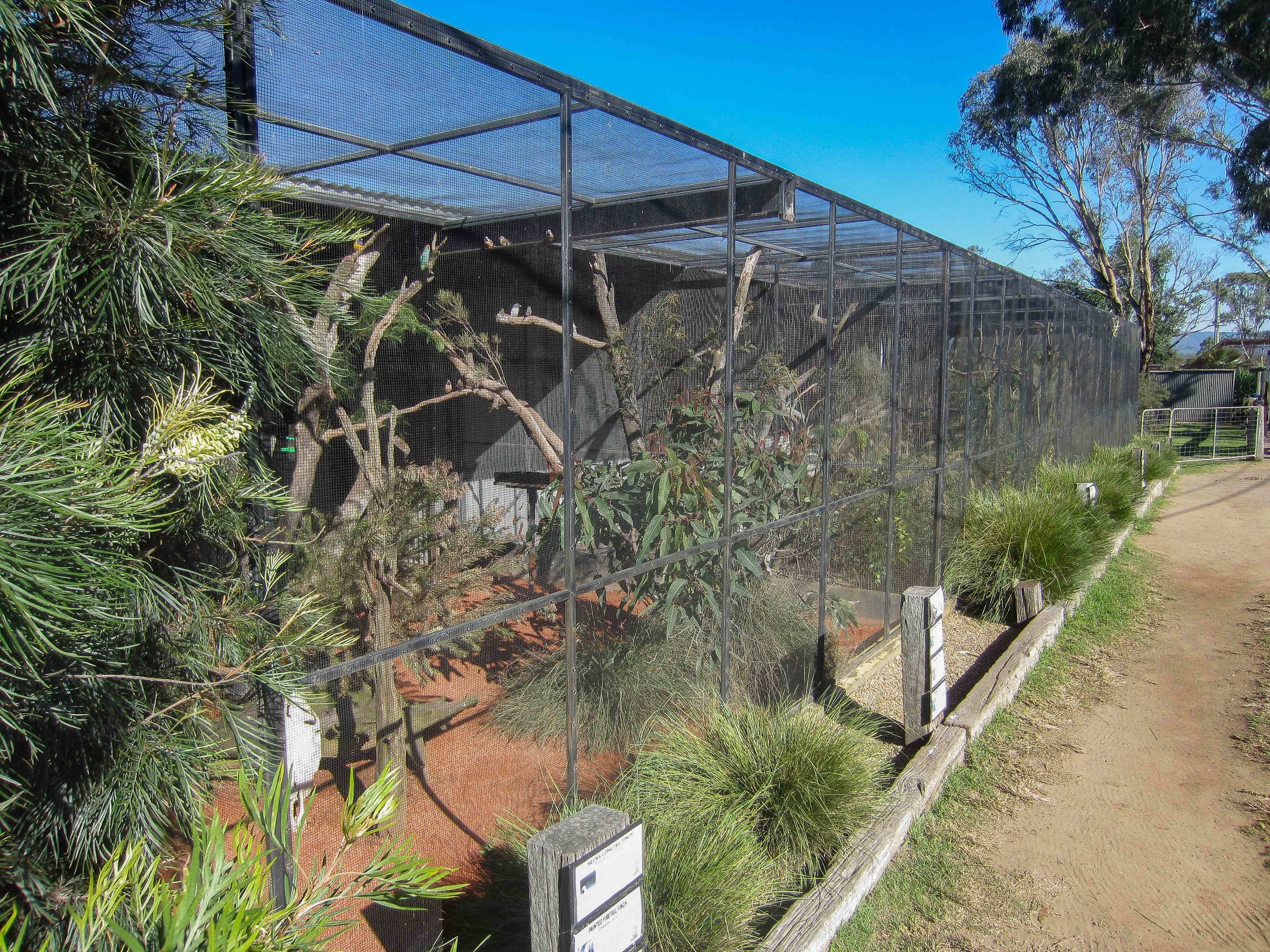 Aviaries