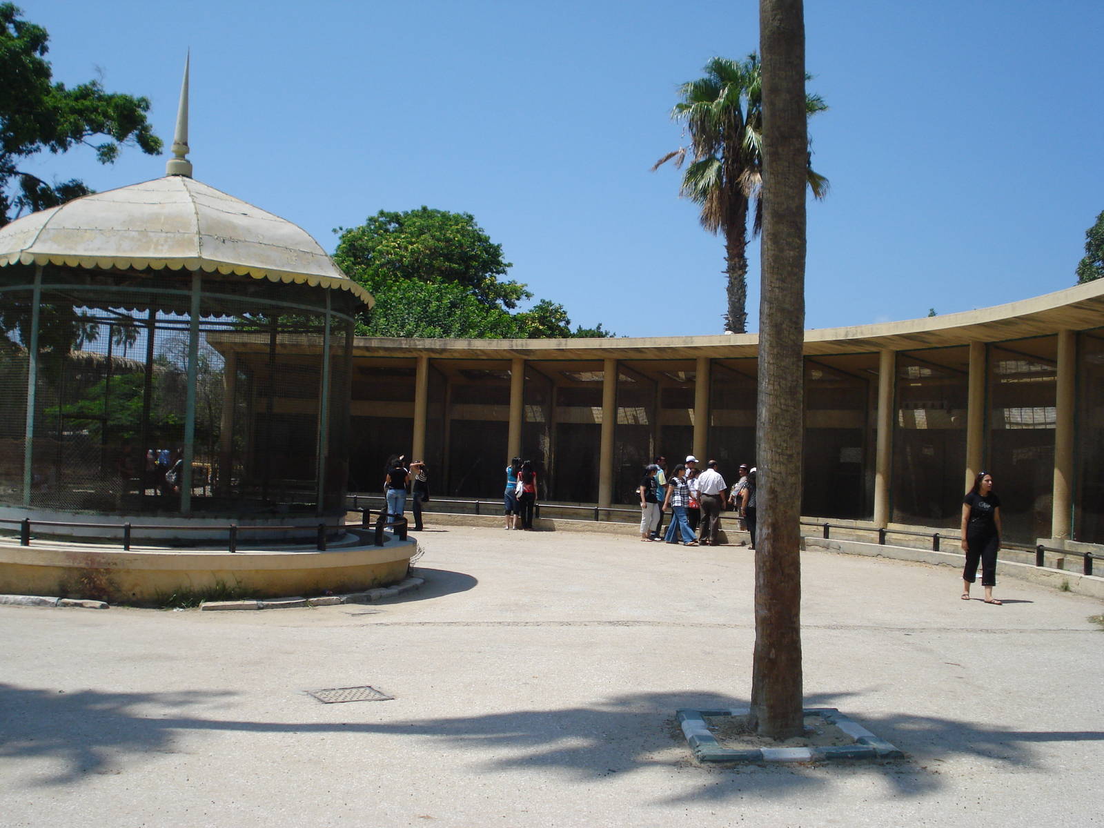 Aviaries