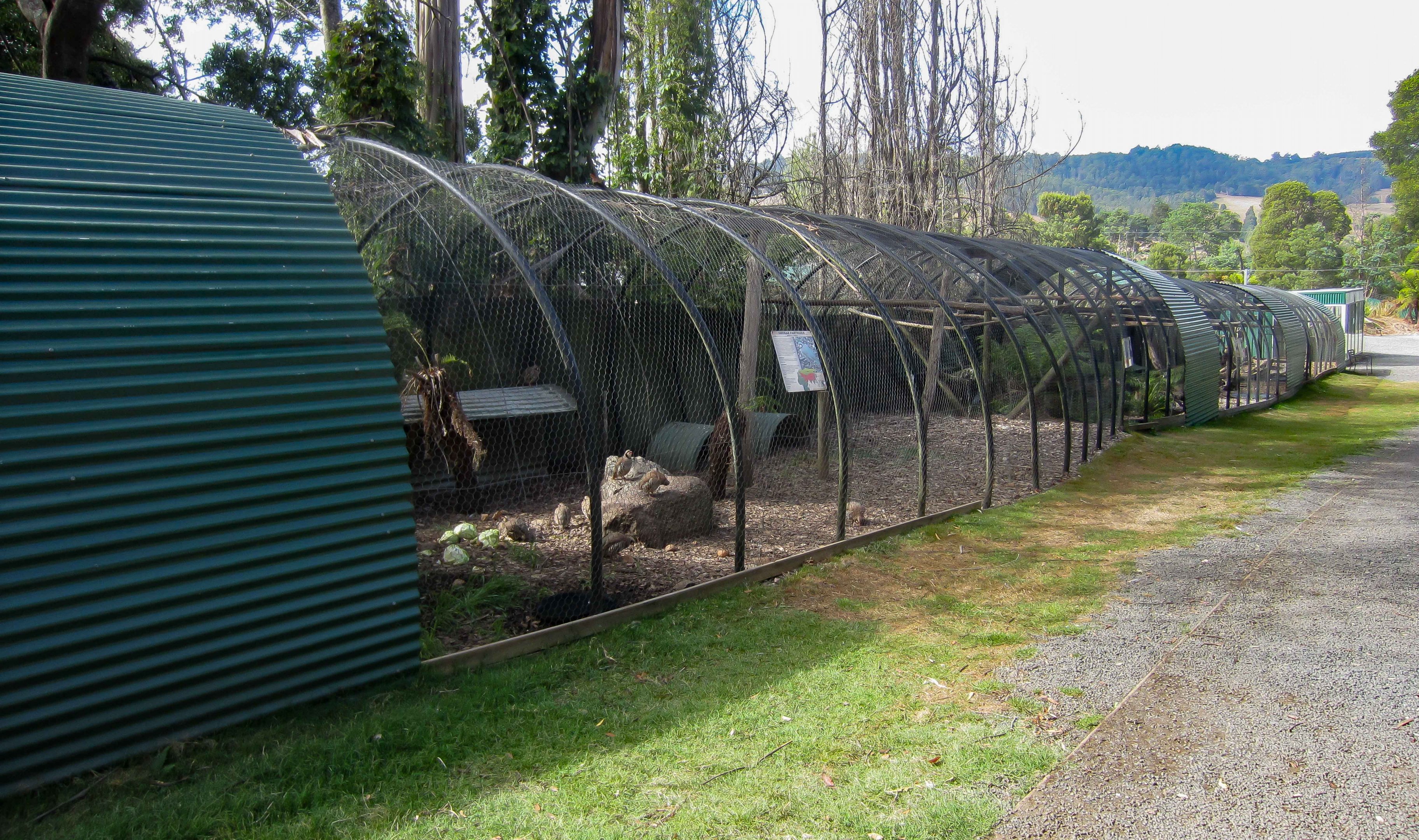 Aviaries