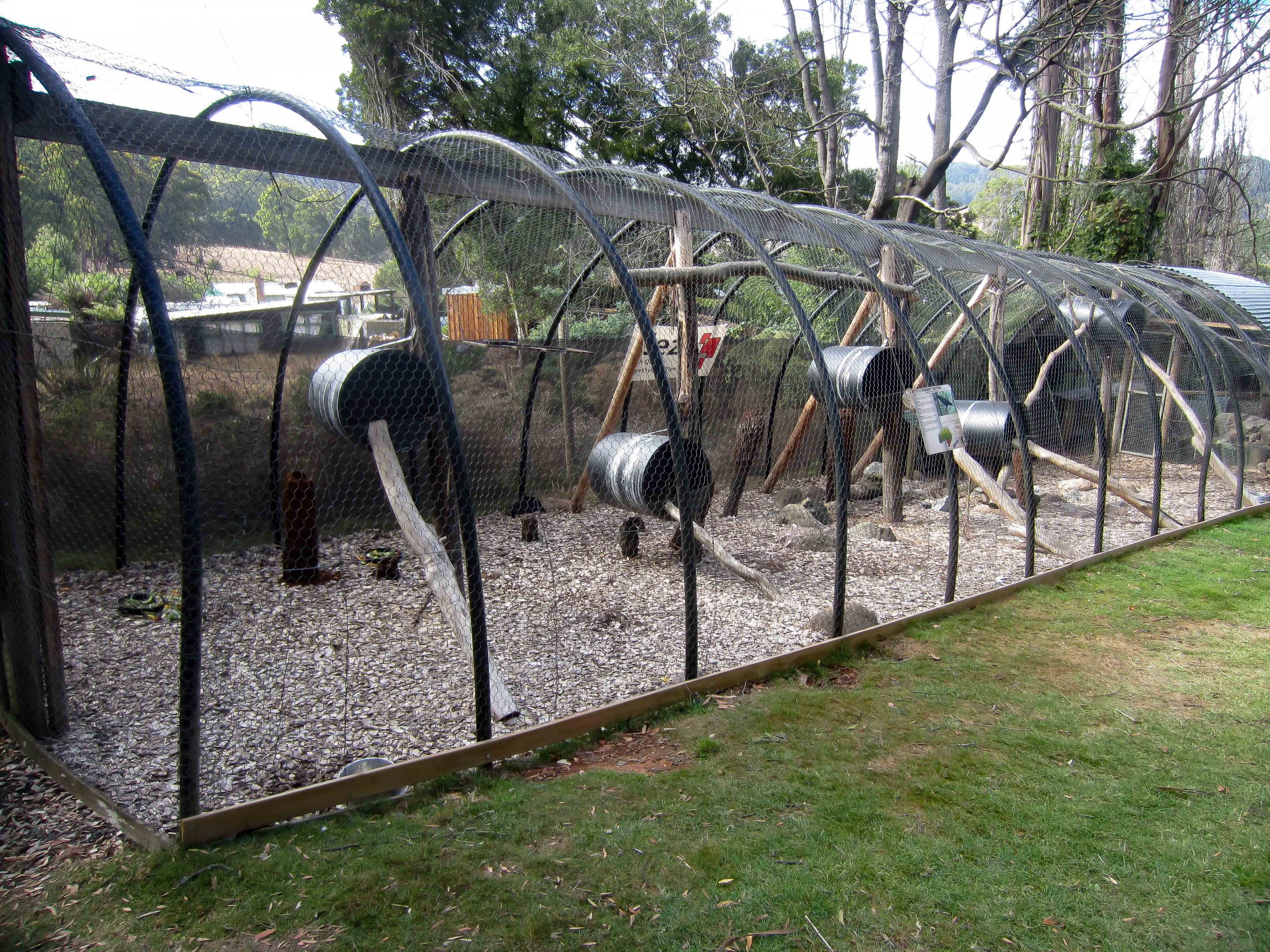 Aviaries