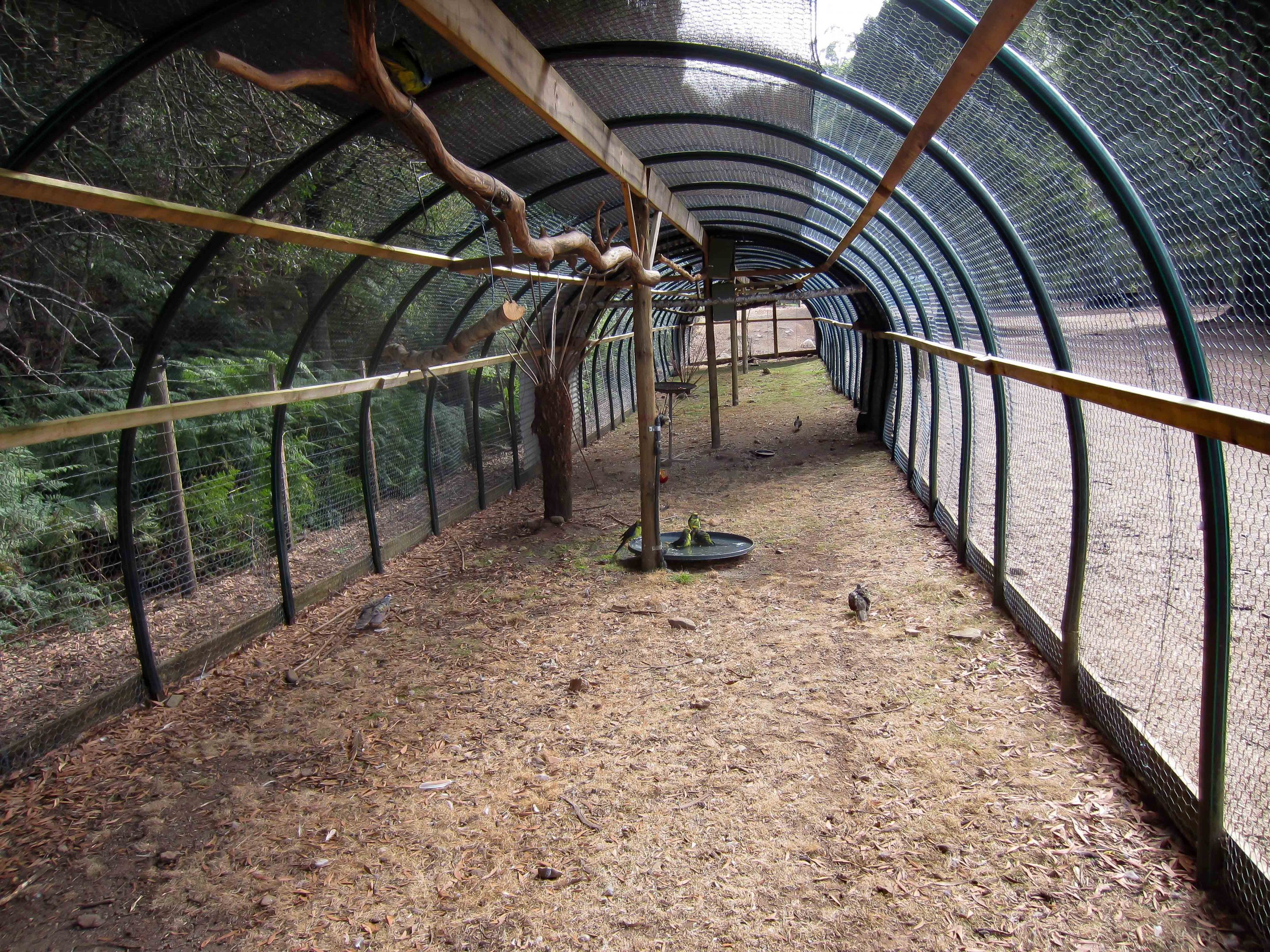 Aviaries