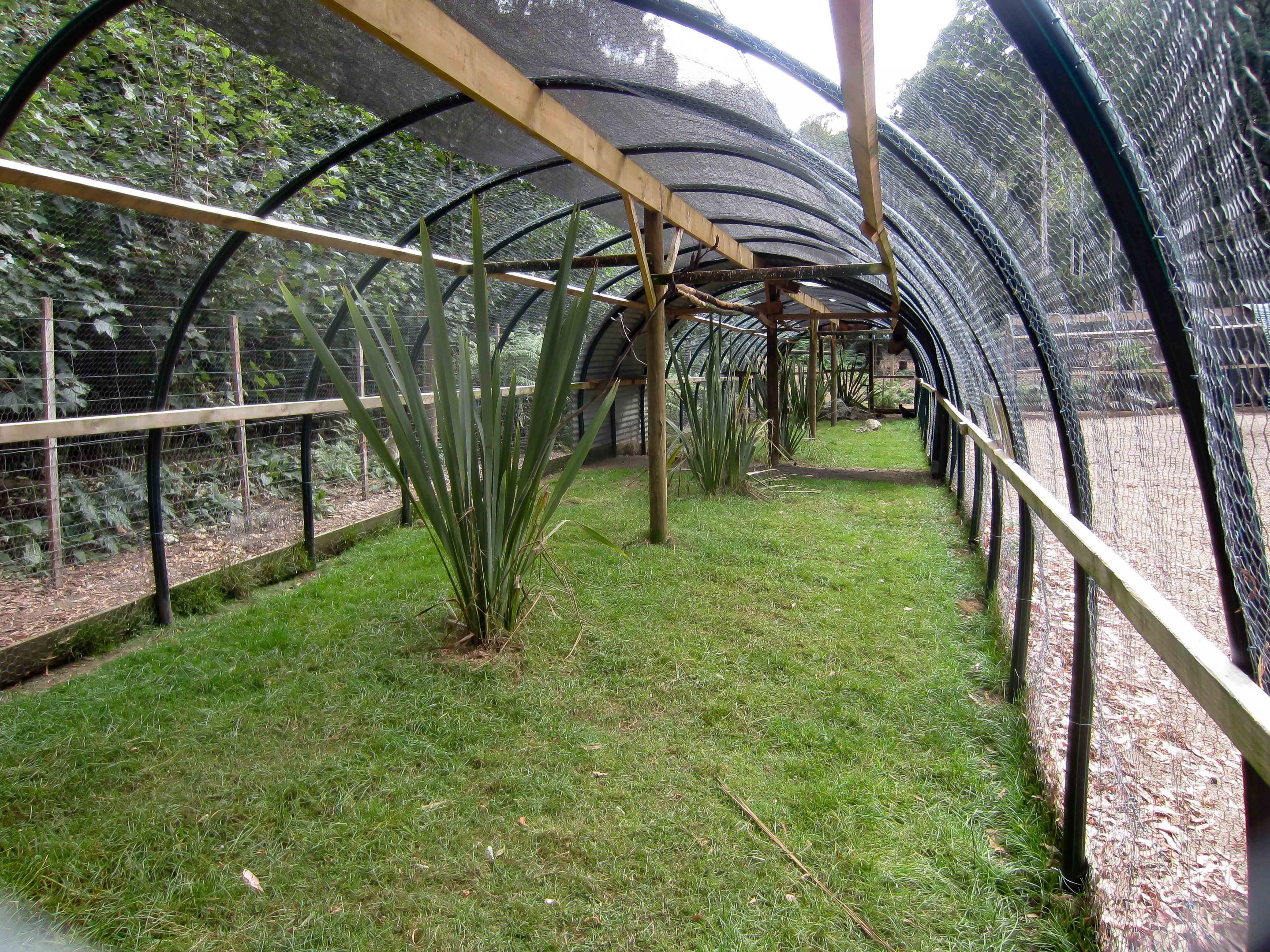 Aviaries