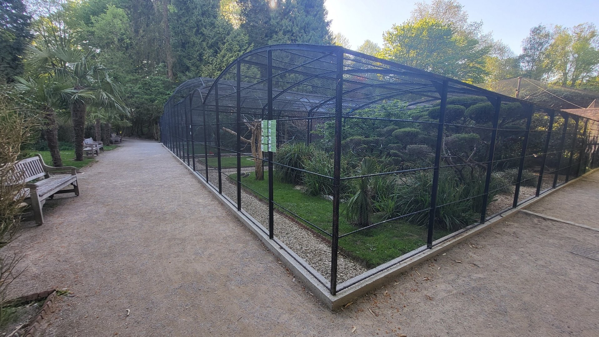 Aviaries