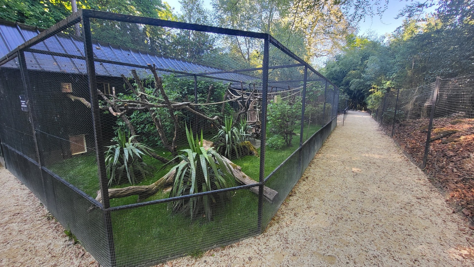 Aviaries