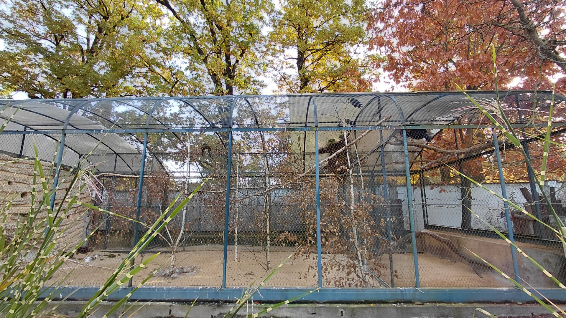 Aviaries