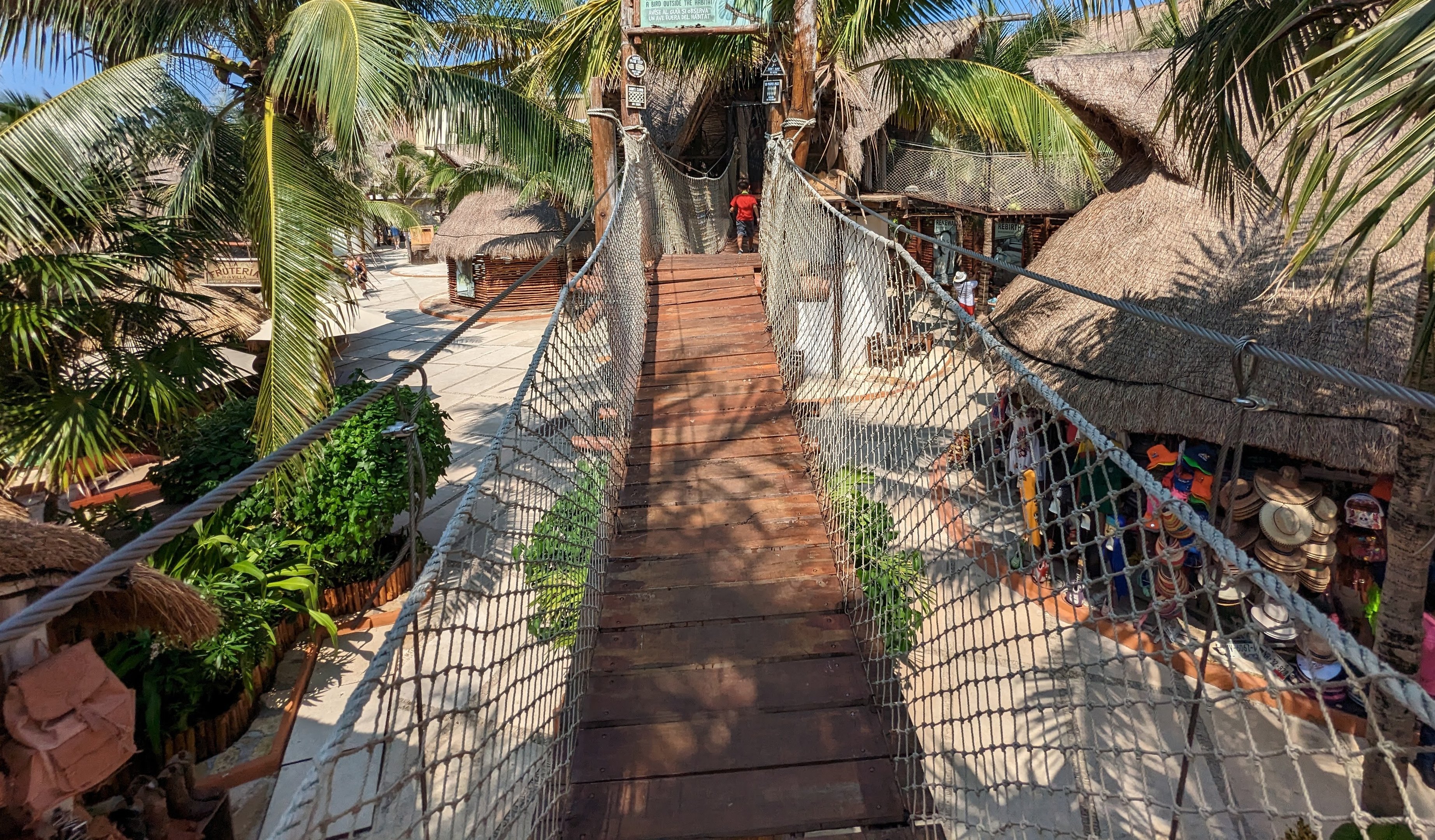 Aviarius - Costa Maya - Eastern rosella aviary exit bridge