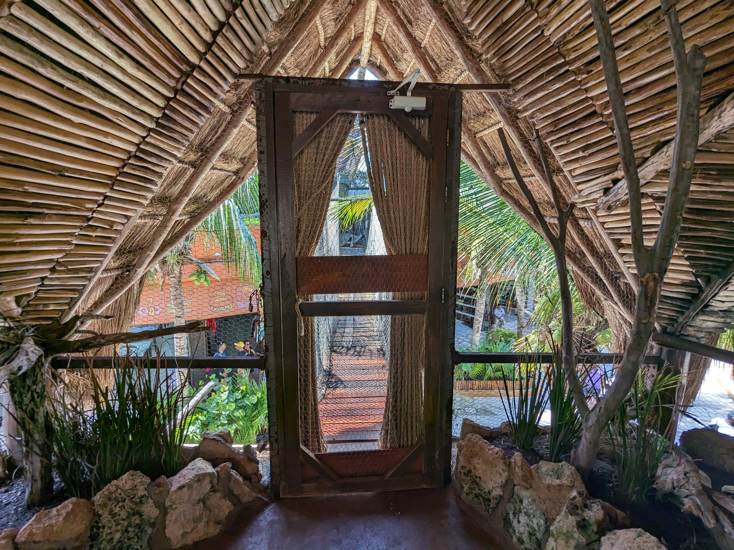 Aviarius - Costa Maya - Eastern rosella aviary