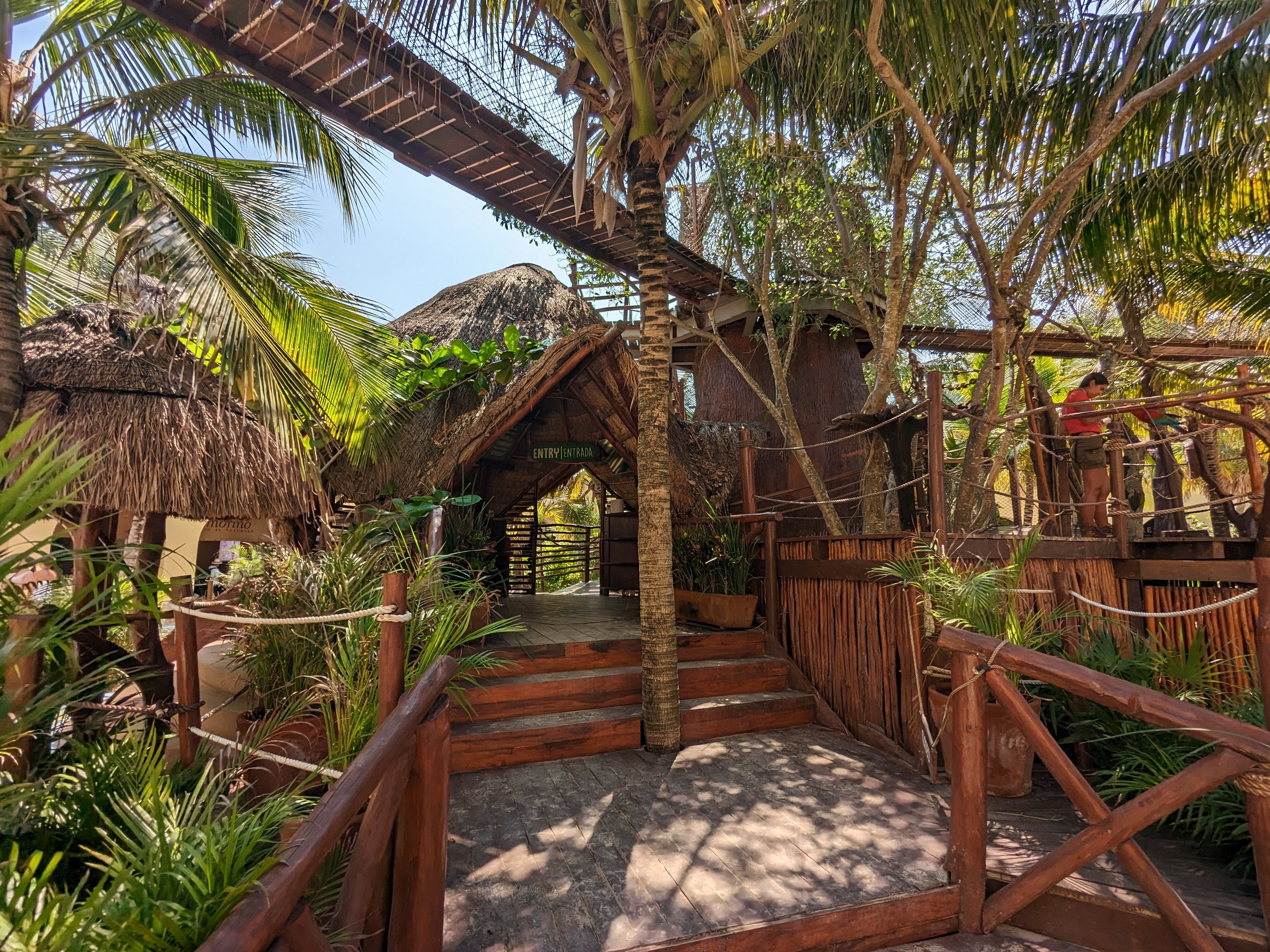 Aviarius - Costa Maya - Entrance building