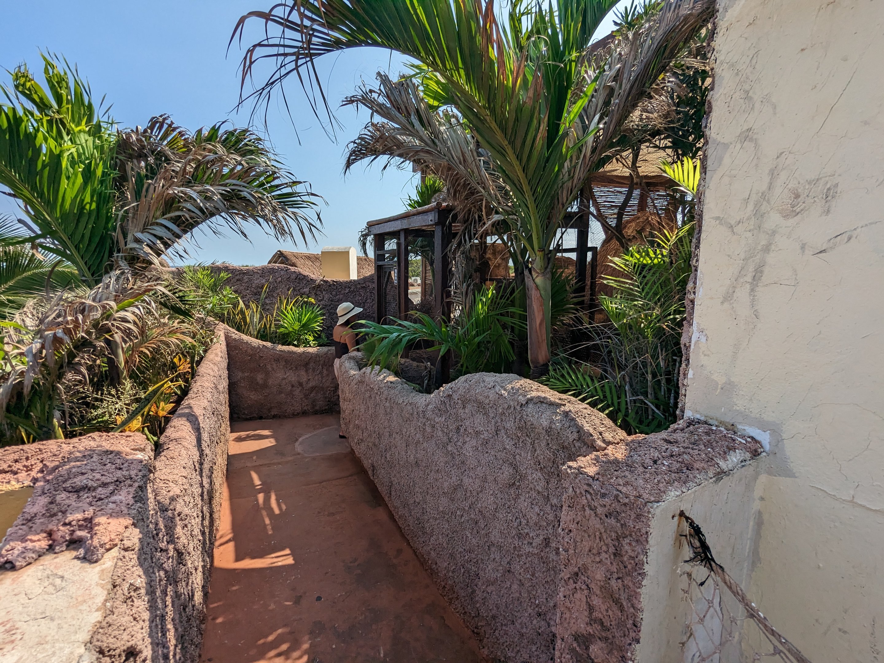 Aviarius - Costa Maya - entrance to sun conure/parakeet