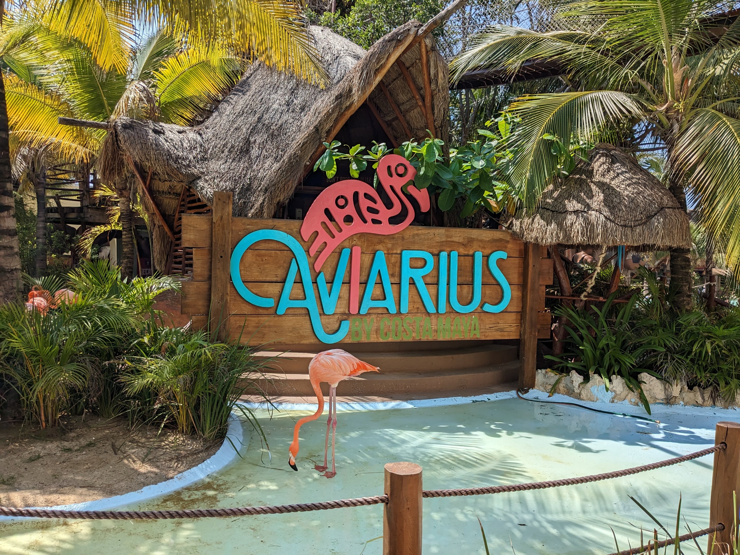 Aviarius - Costa Maya - Entrance