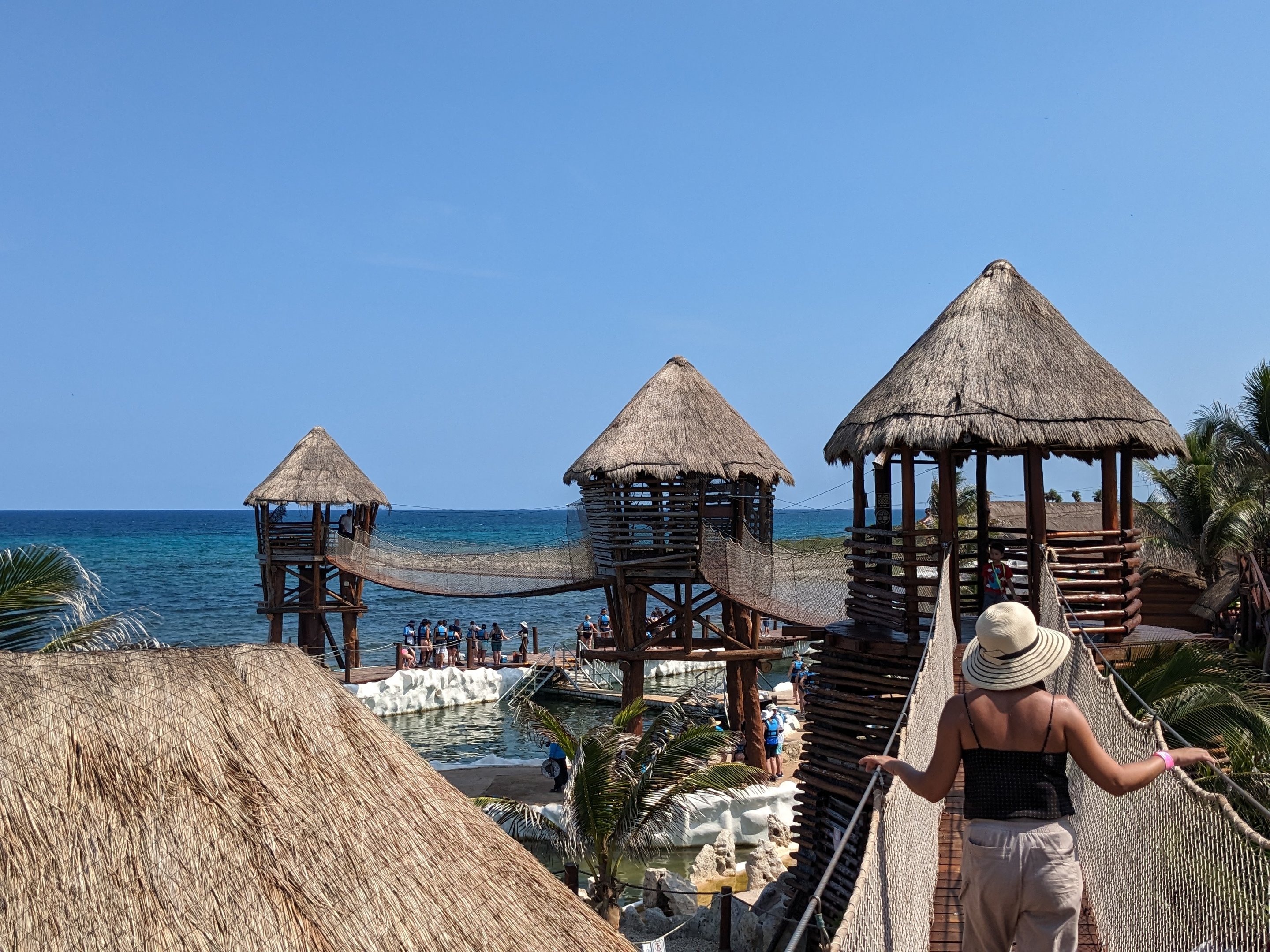 Aviarius - Costa Maya - Kramer Parrot/Collard Parakeet aviary exit and bridges
