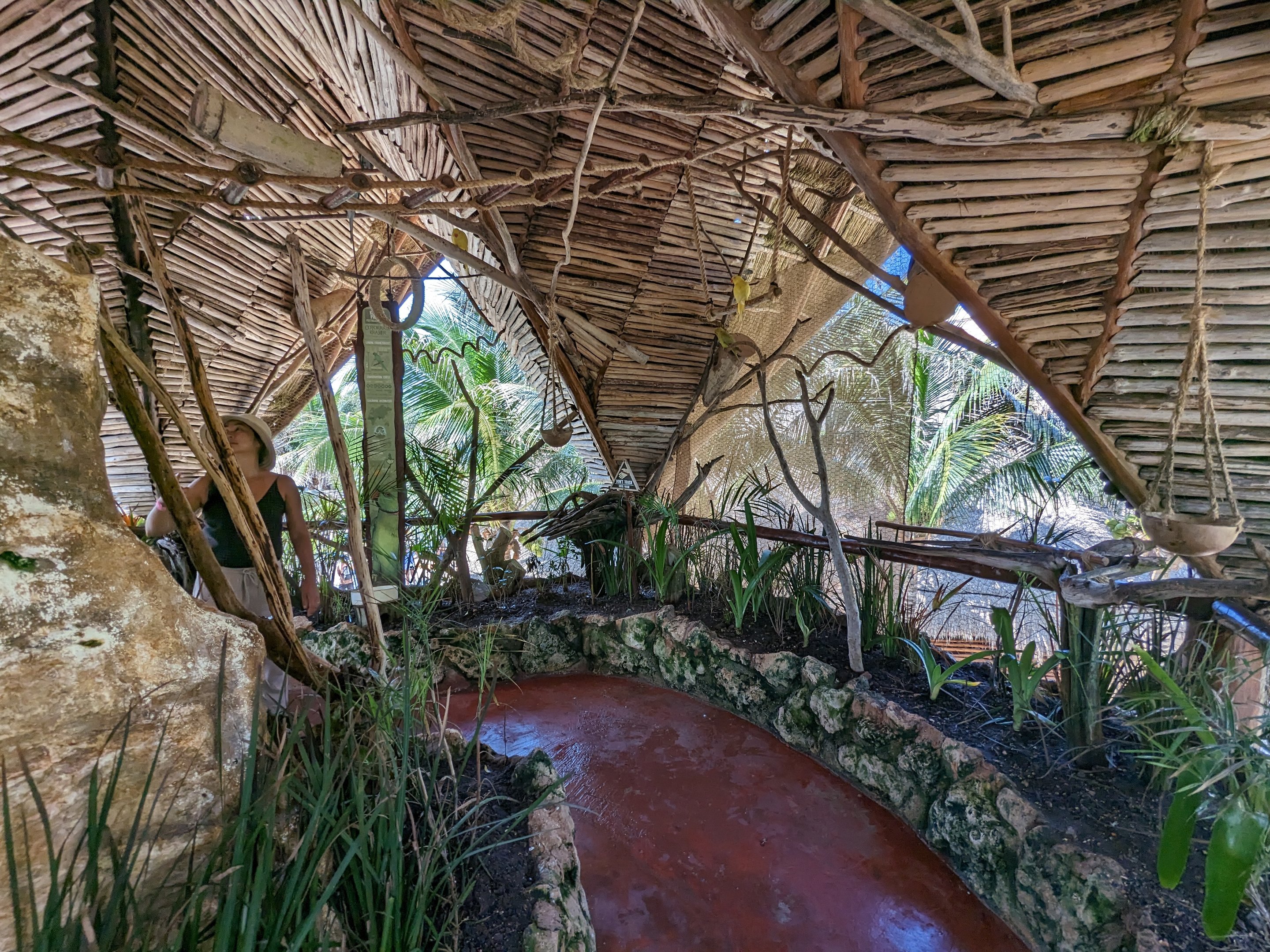Aviarius - Costa Maya - Kramer Parrot/Collard Parakeet aviary