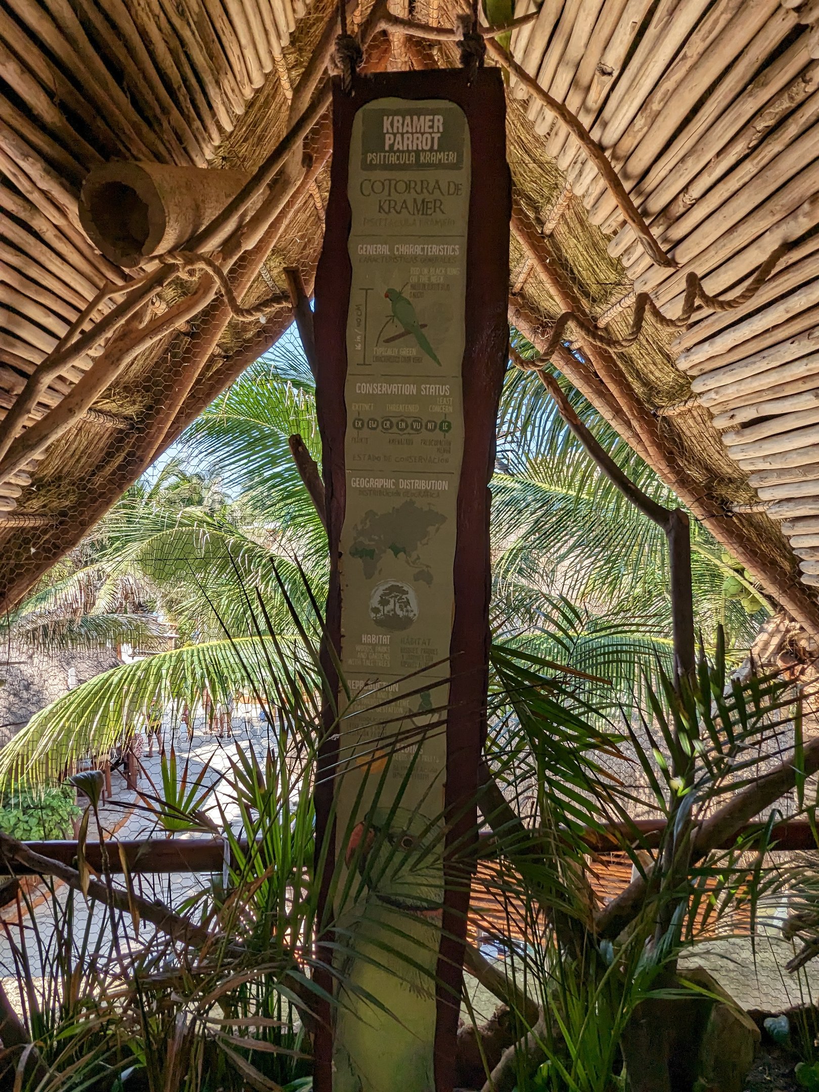 Aviarius - Costa Maya - Kramer Parrot/Collard Parakeet sign