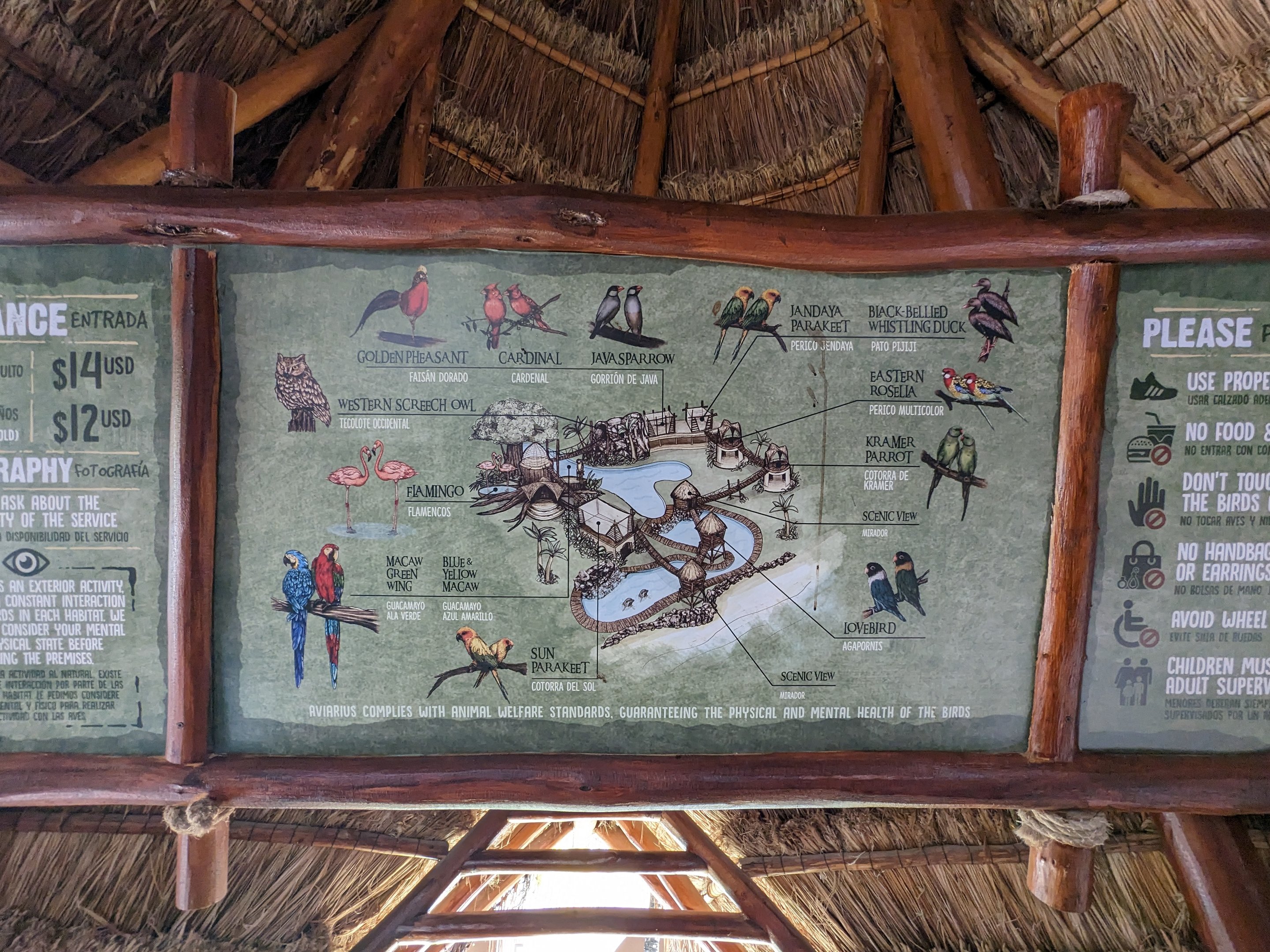 Aviarius - Costa Maya - Map