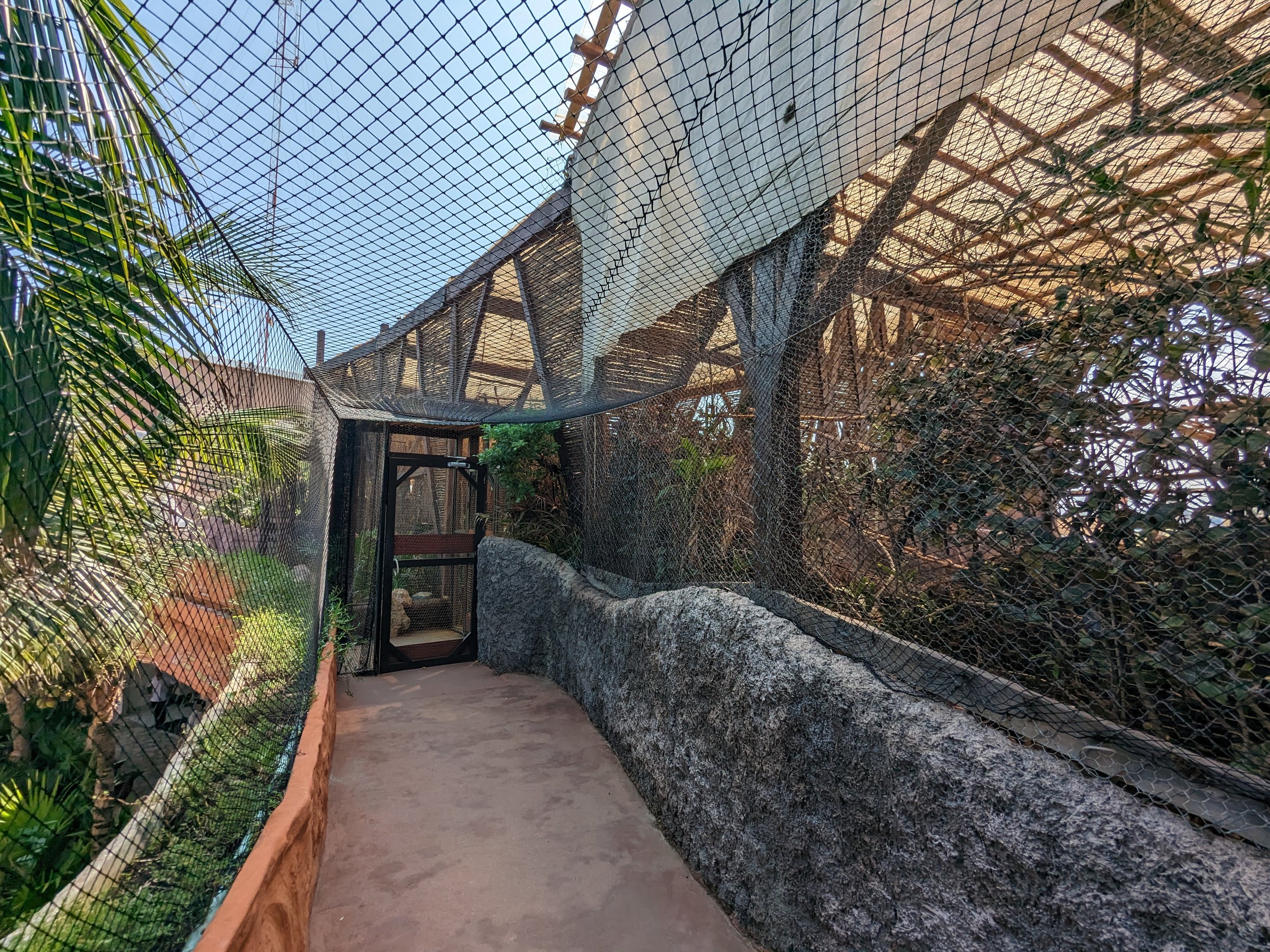 Aviarius - Costa Maya - second aviary exit