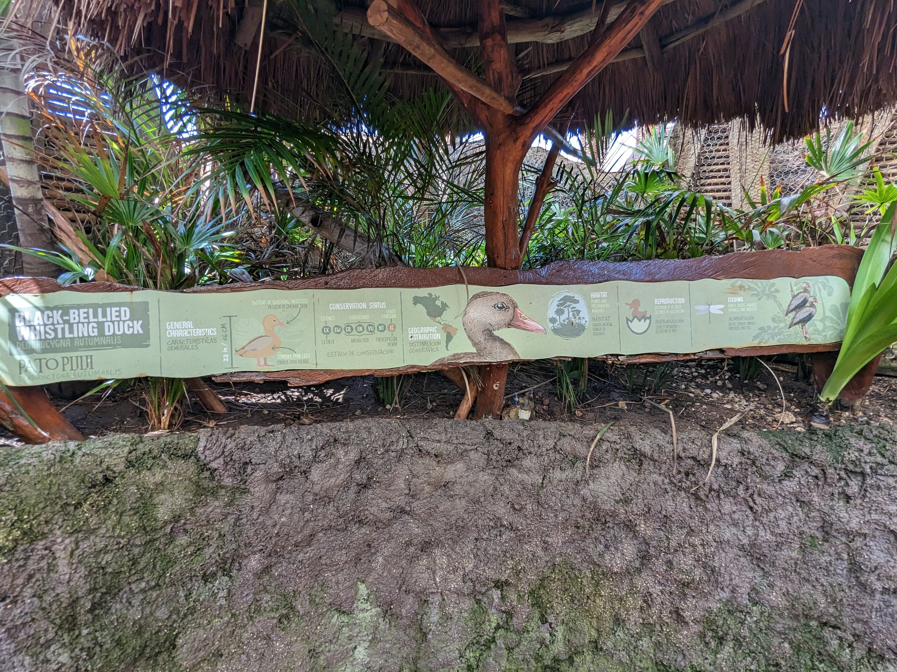 Aviarius - Costa Maya - second aviary sign