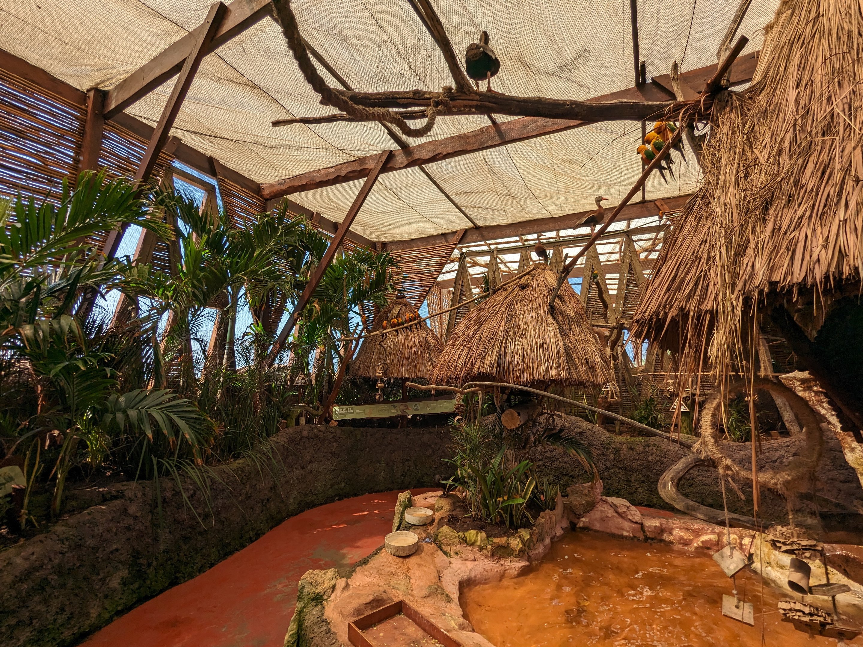 Aviarius - Costa Maya - second aviary