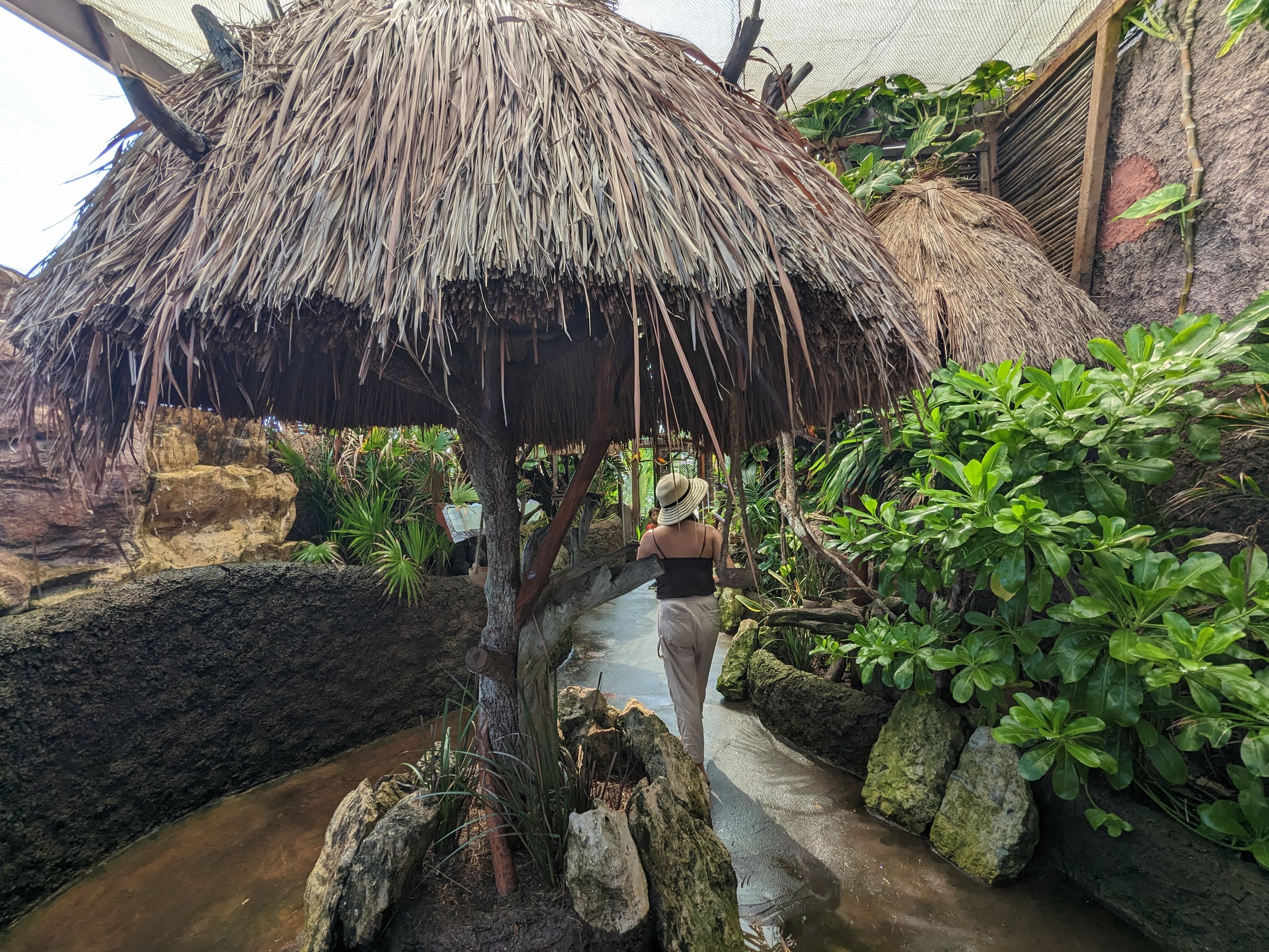 Aviarius - Costa Maya - sun conure/parakeet aviary