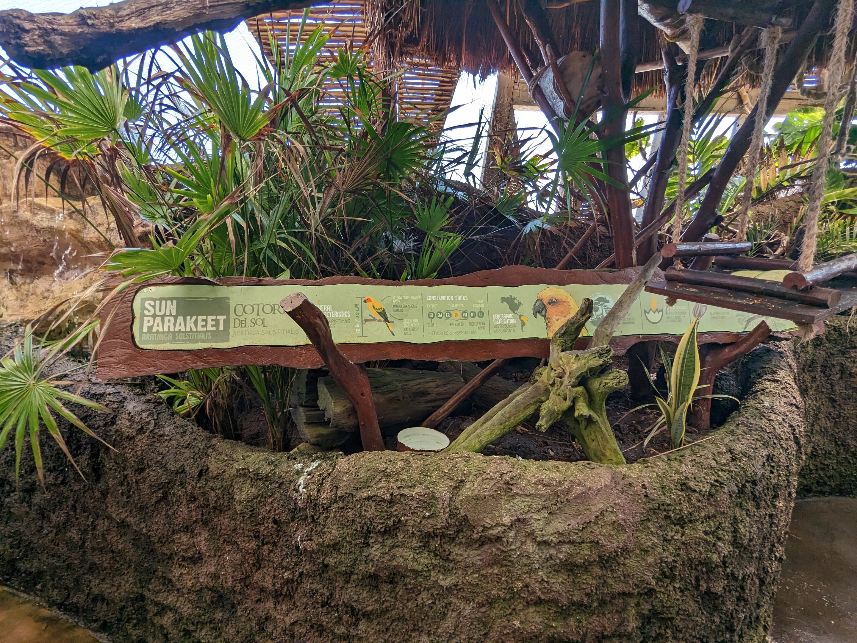 Aviarius - Costa Maya - sun conure/parakeet sign