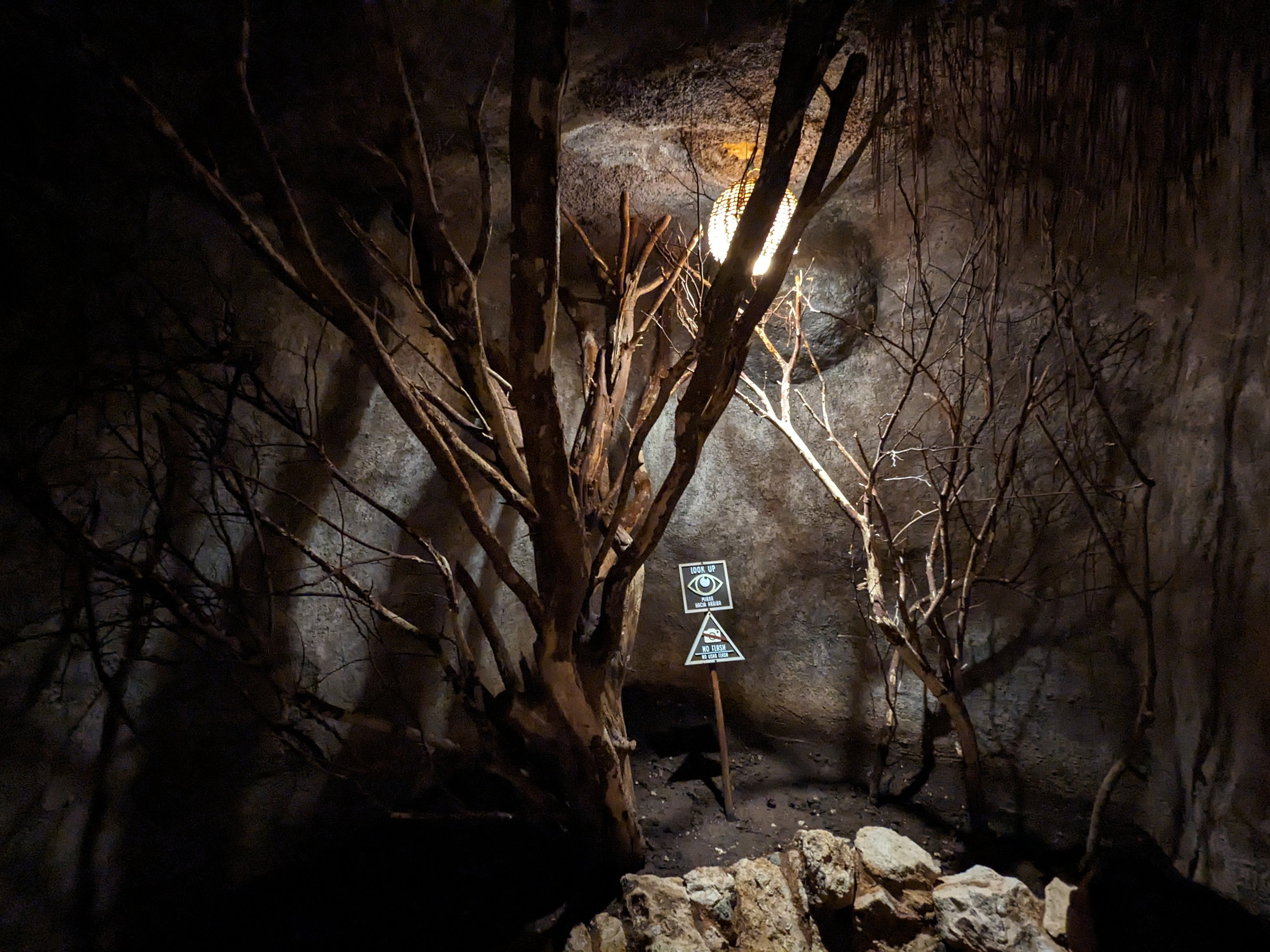 Aviarius - Costa Maya - Western Screech owl aviary