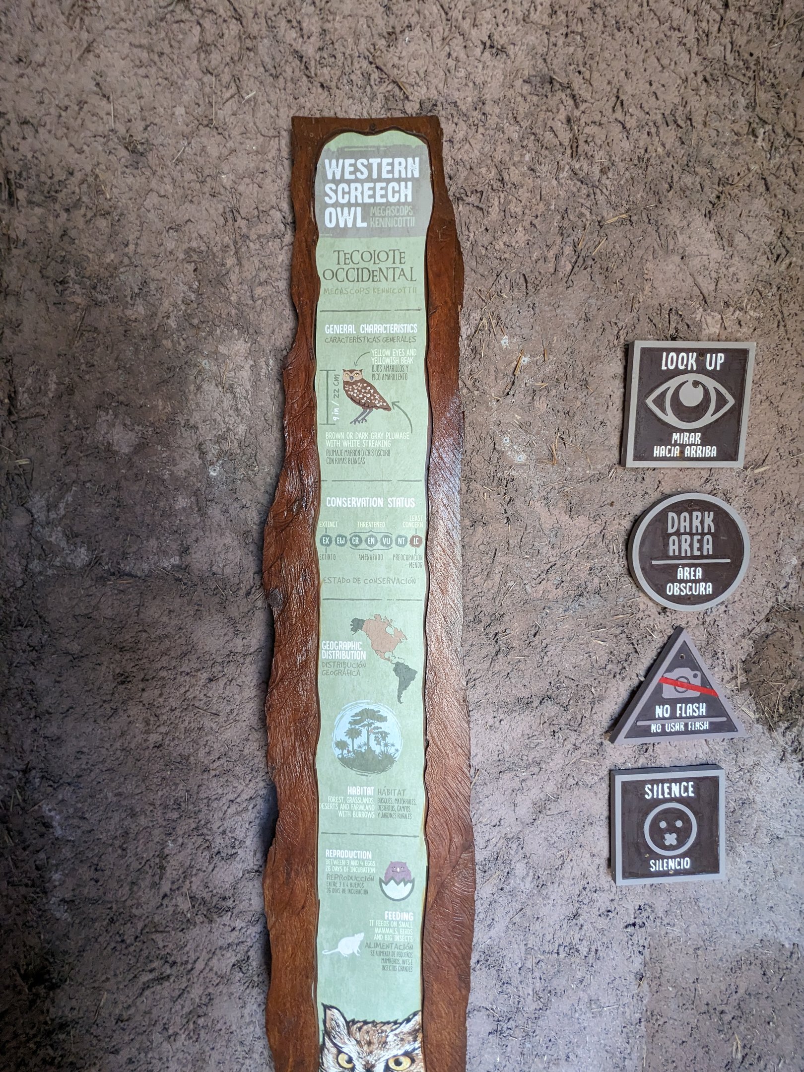 Aviarius - Costa Maya - Western Screech owl sign