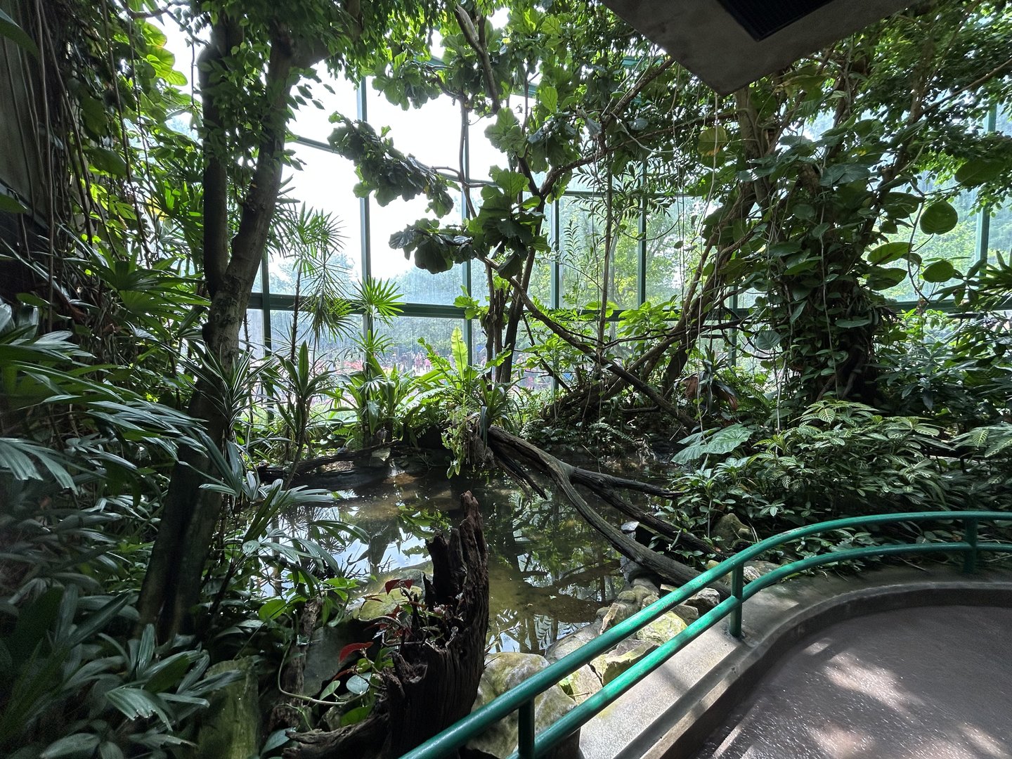 Aviary (13 Species) - Unseen New World