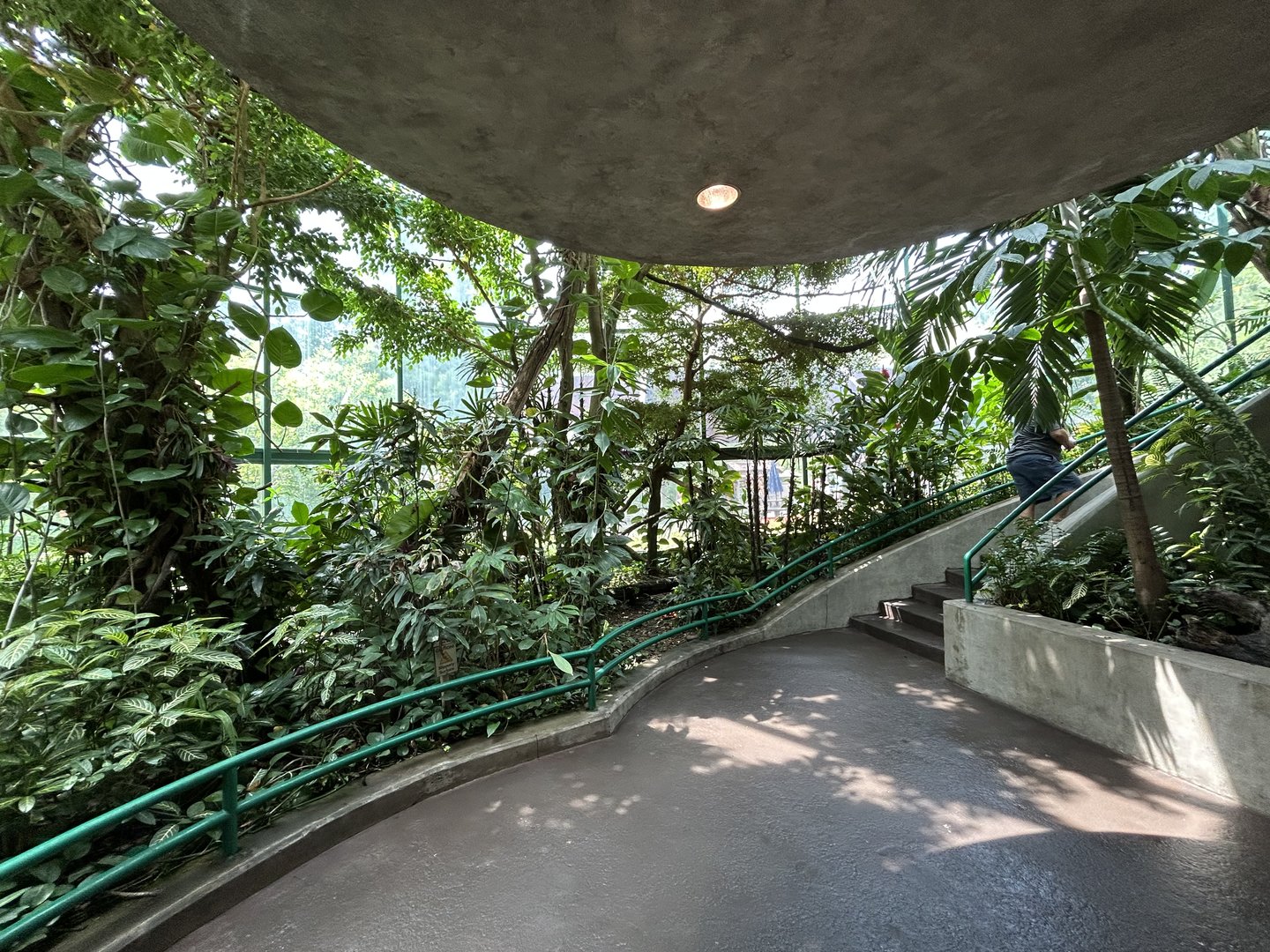 Aviary (13 Species) - Unseen New World